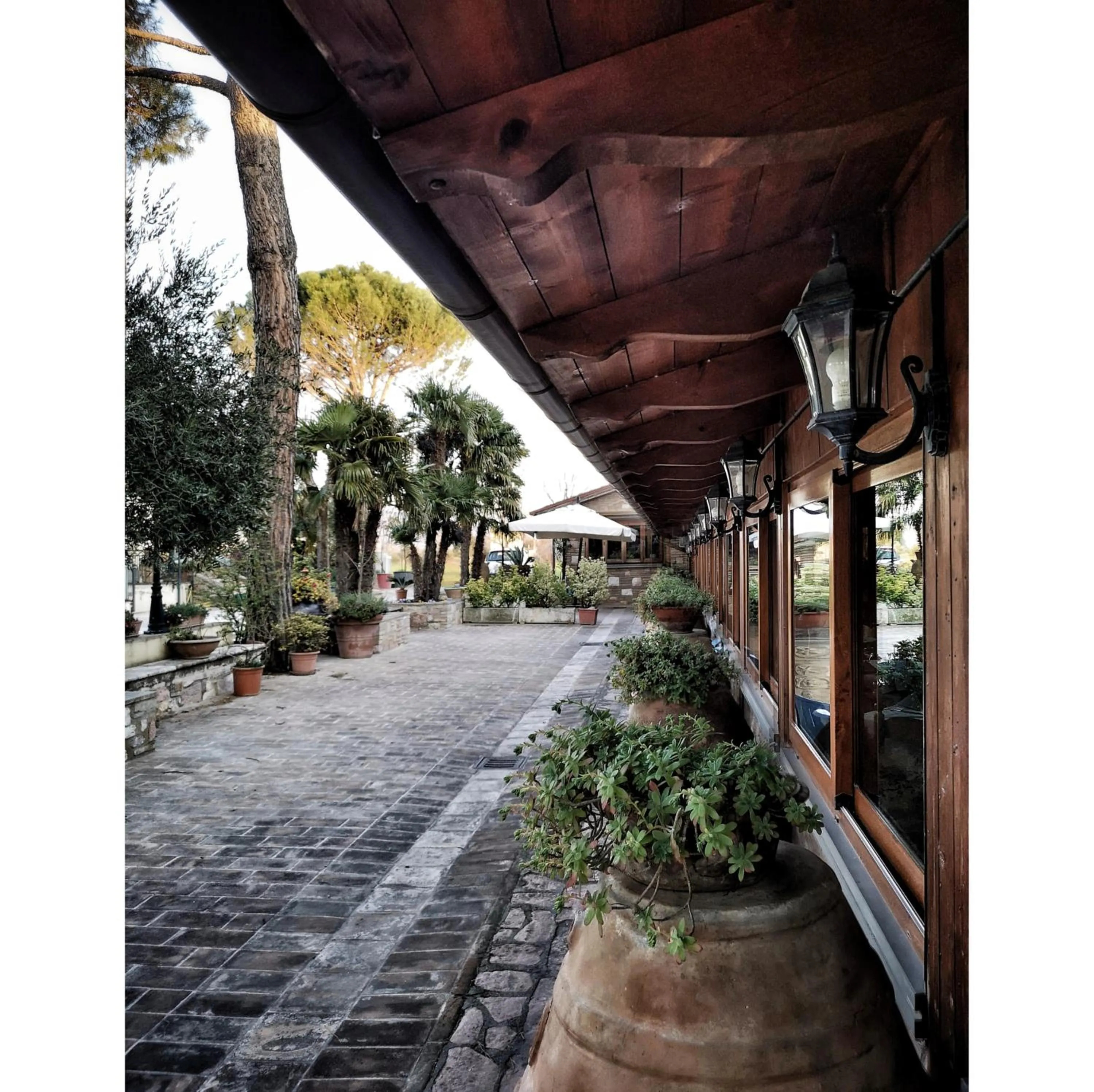 Patio in Hotel Villa Elda