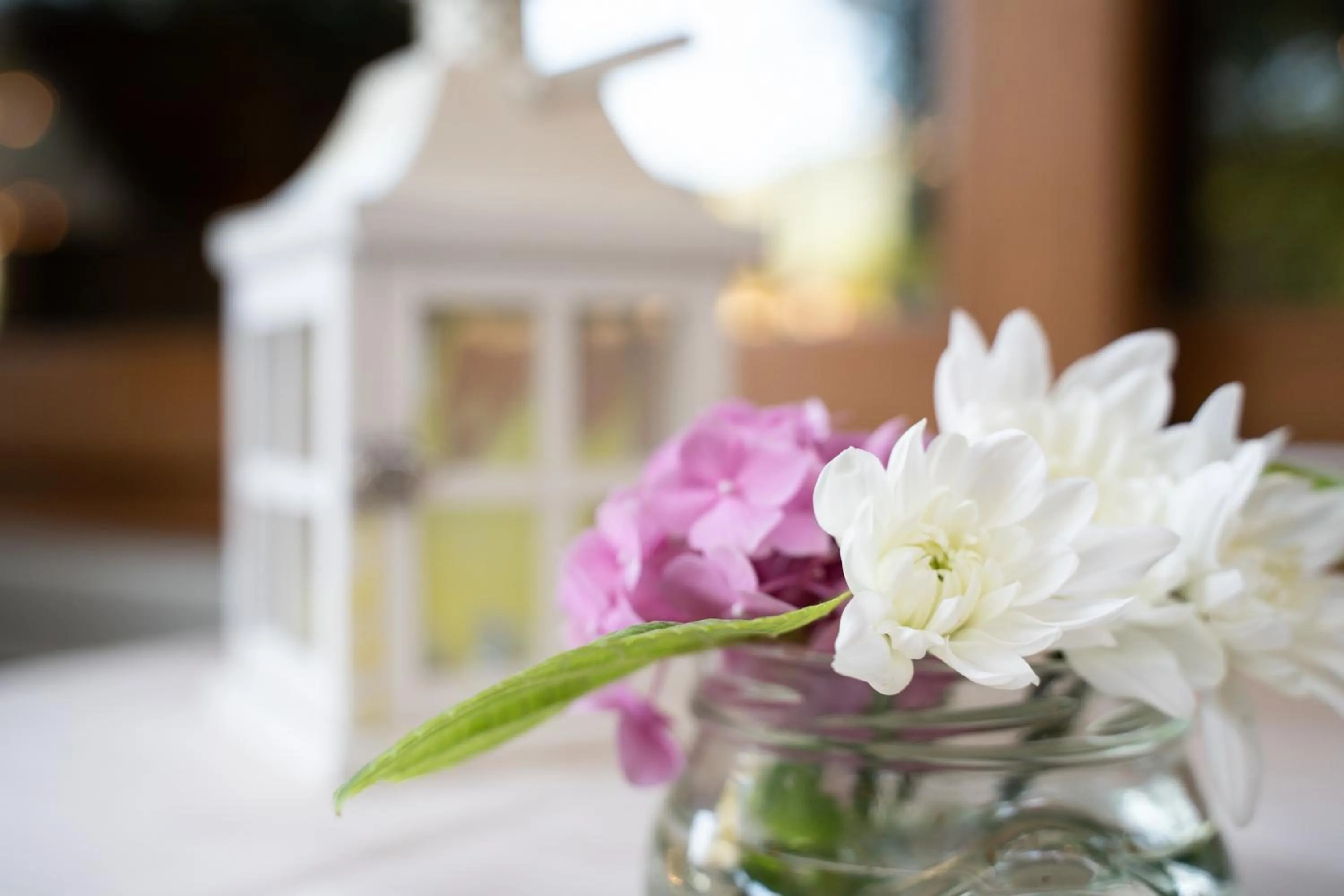 Balcony/Terrace in Hotel Villa Elda