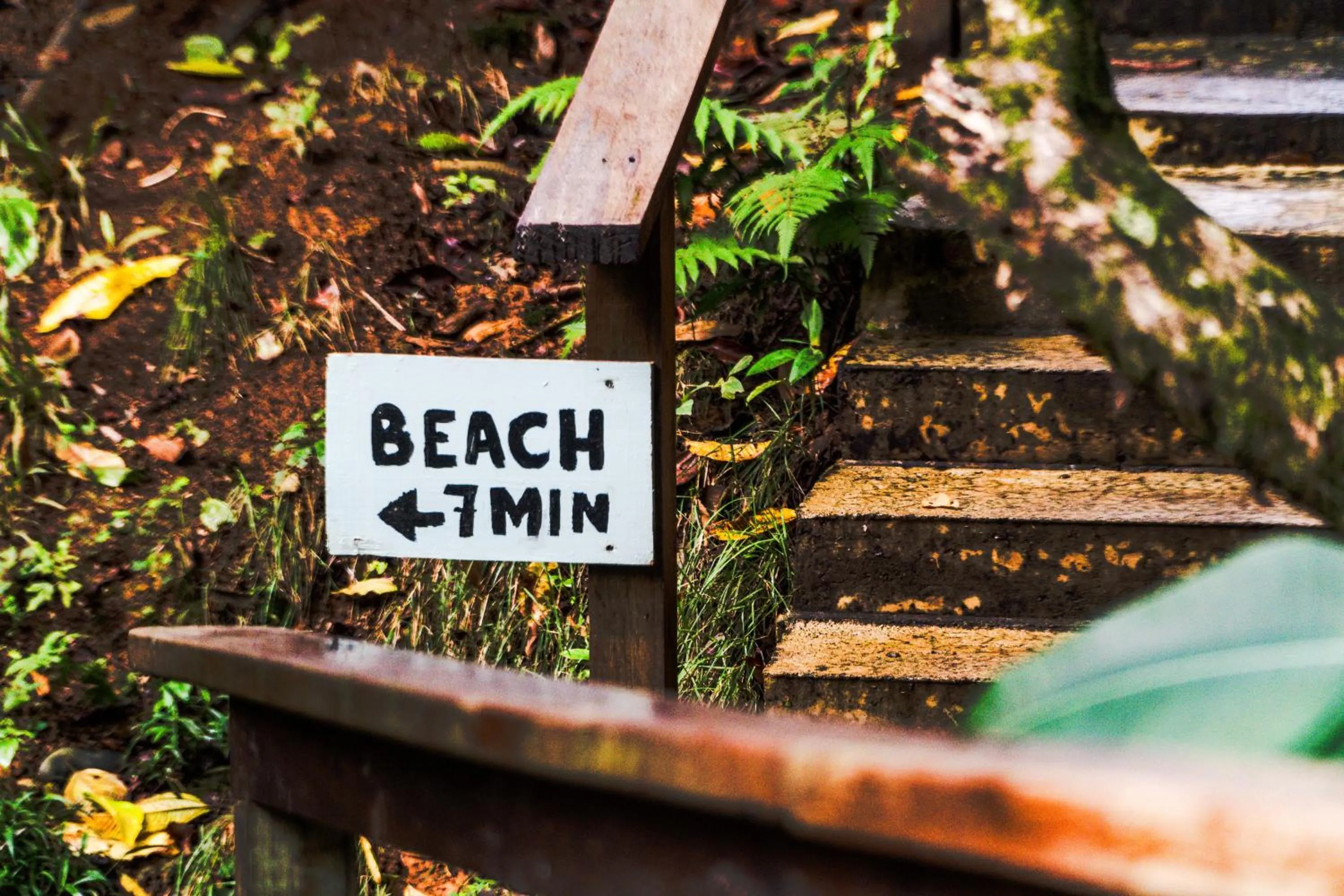 Beach in Selina Red Frog