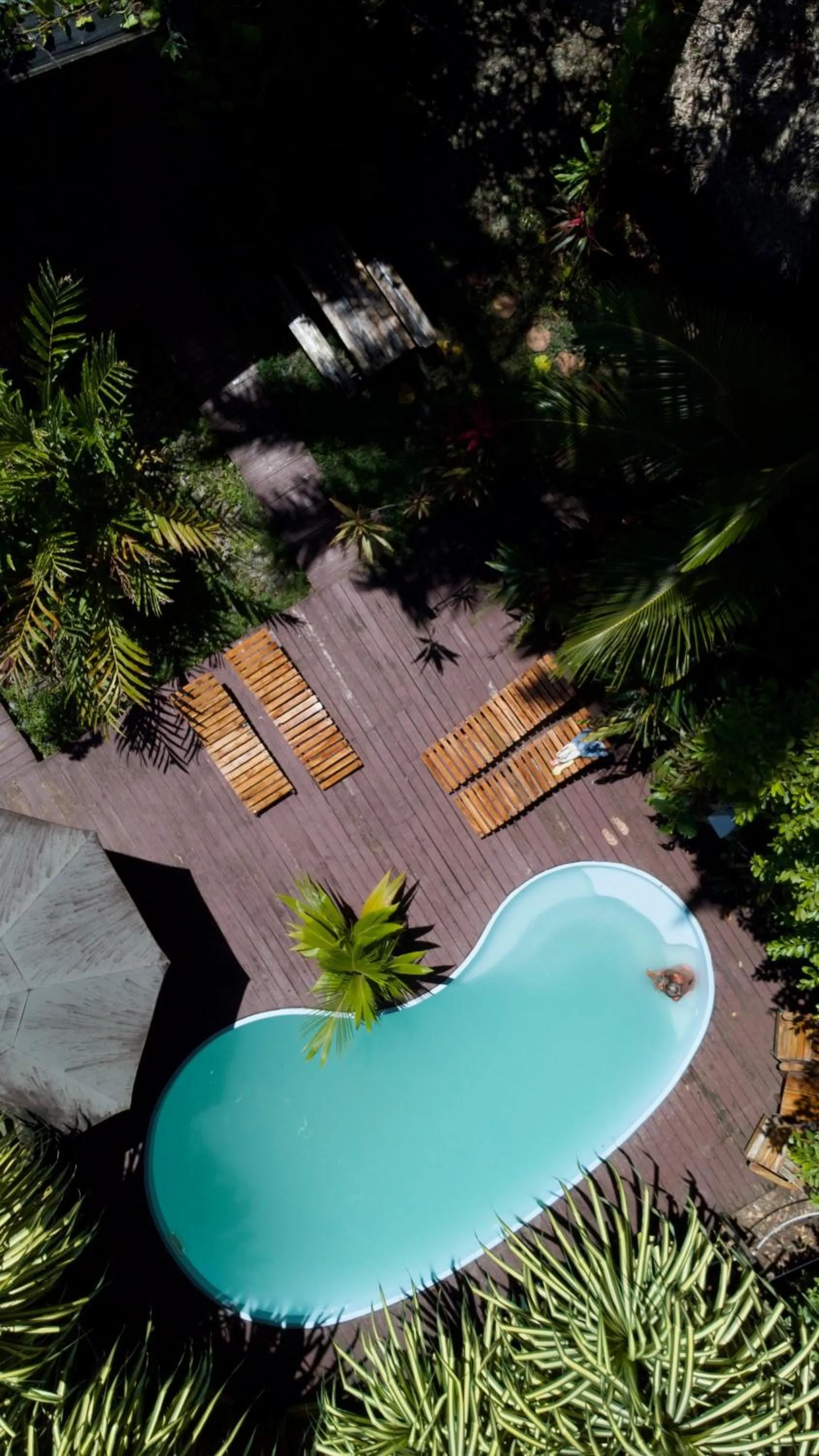 Property building in Selina Red Frog