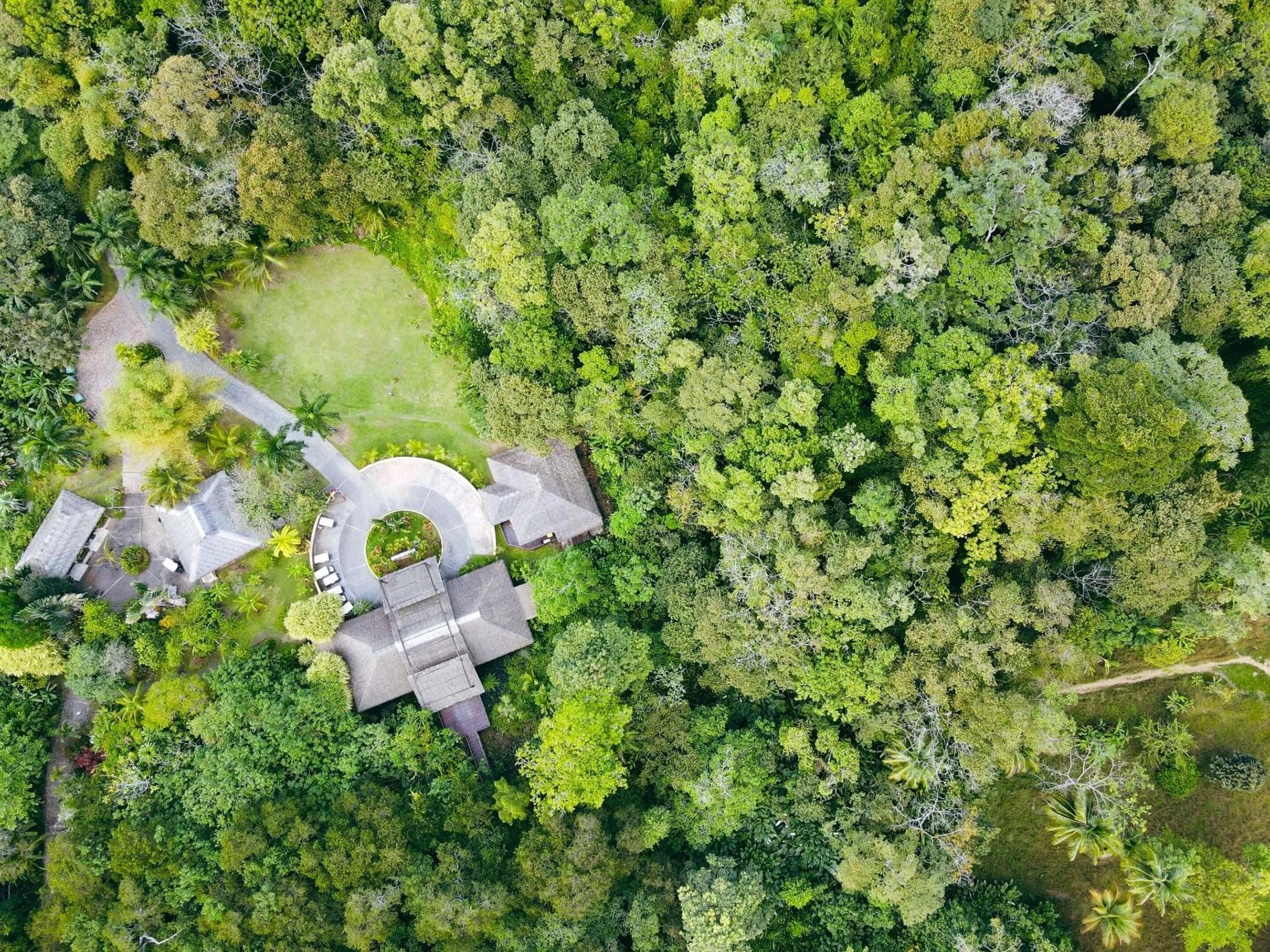 Bird's eye view in Selina Red Frog