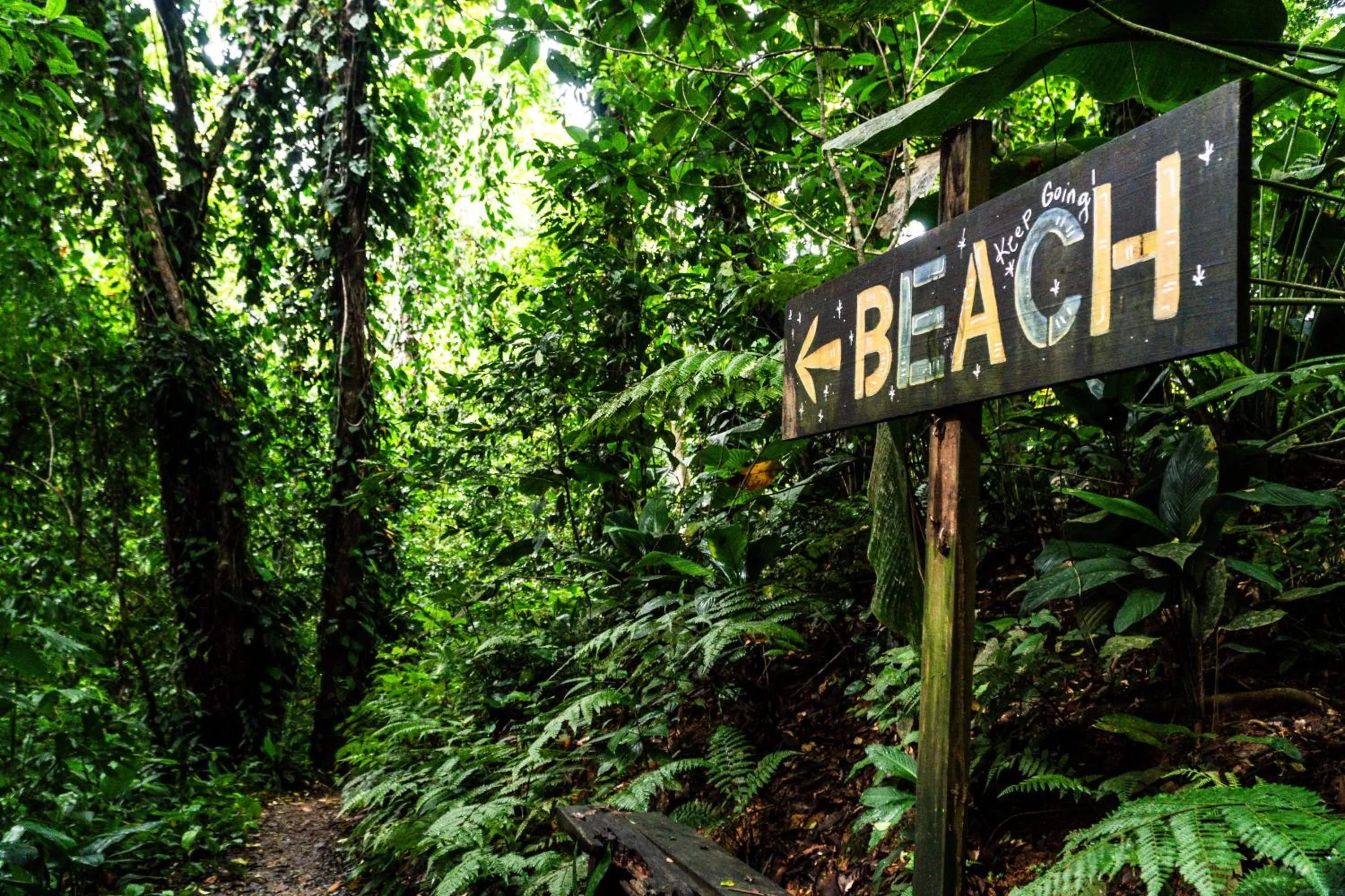 Natural landscape in Selina Red Frog