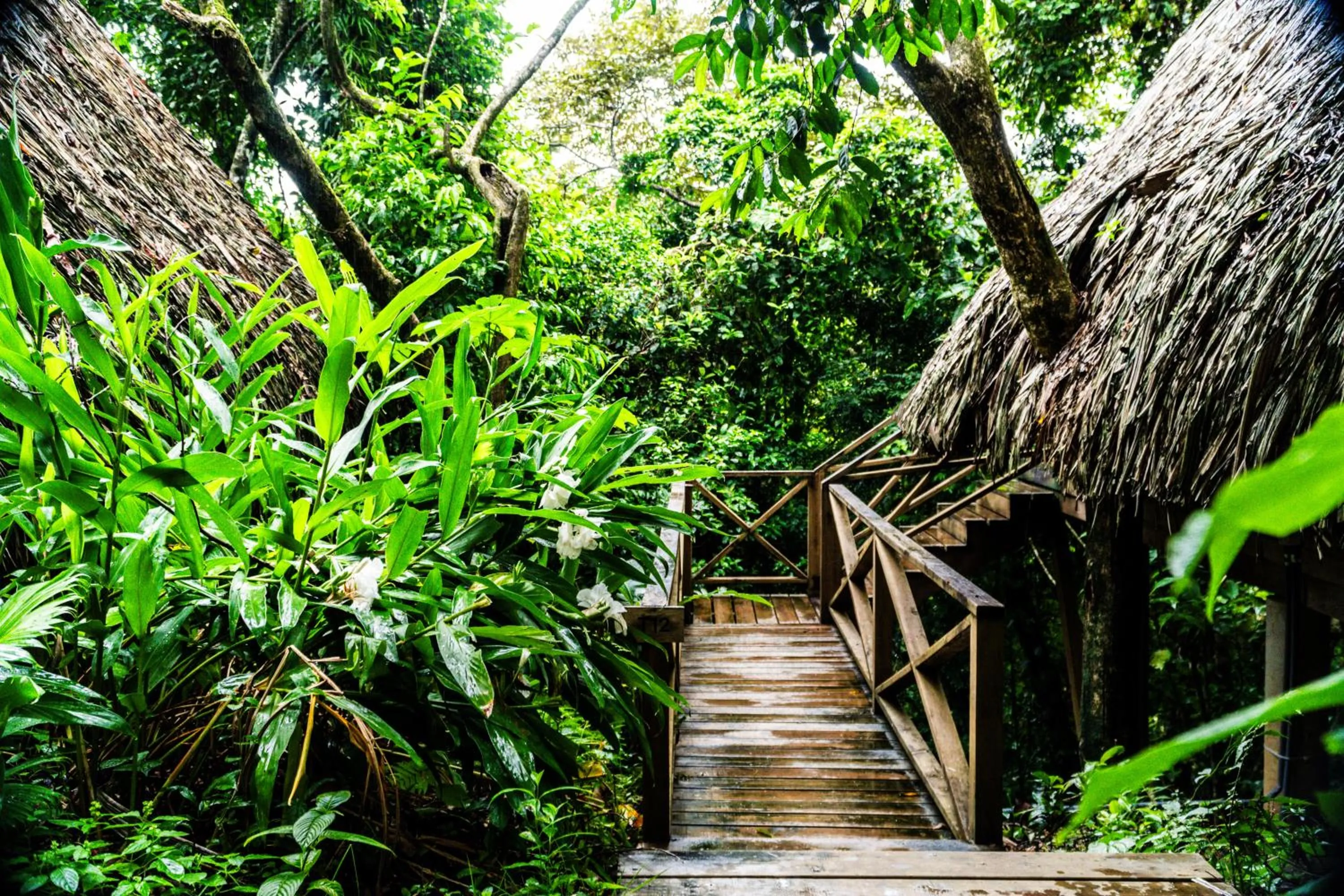 View (from property/room) in Selina Red Frog