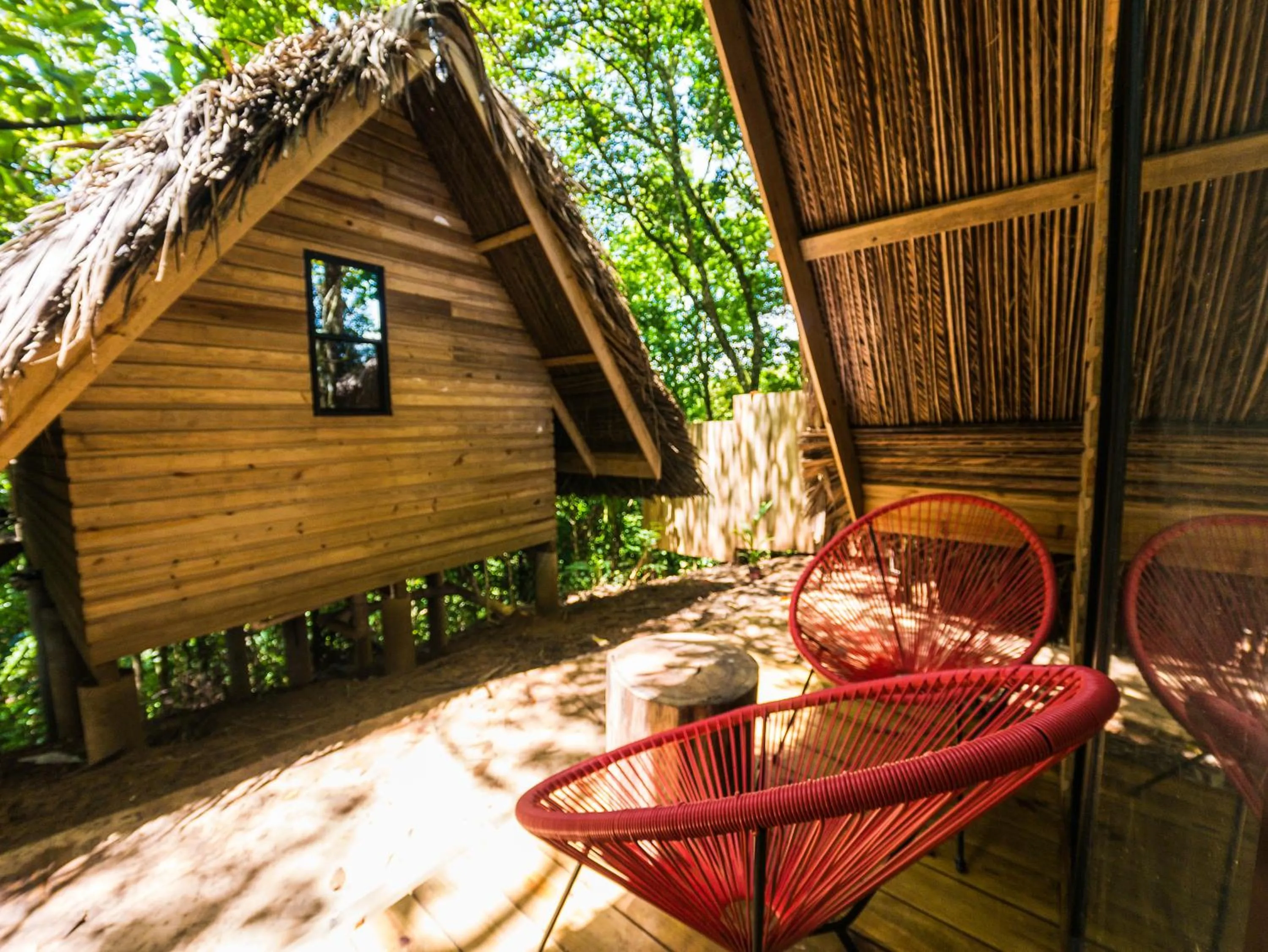 View (from property/room) in Selina Red Frog