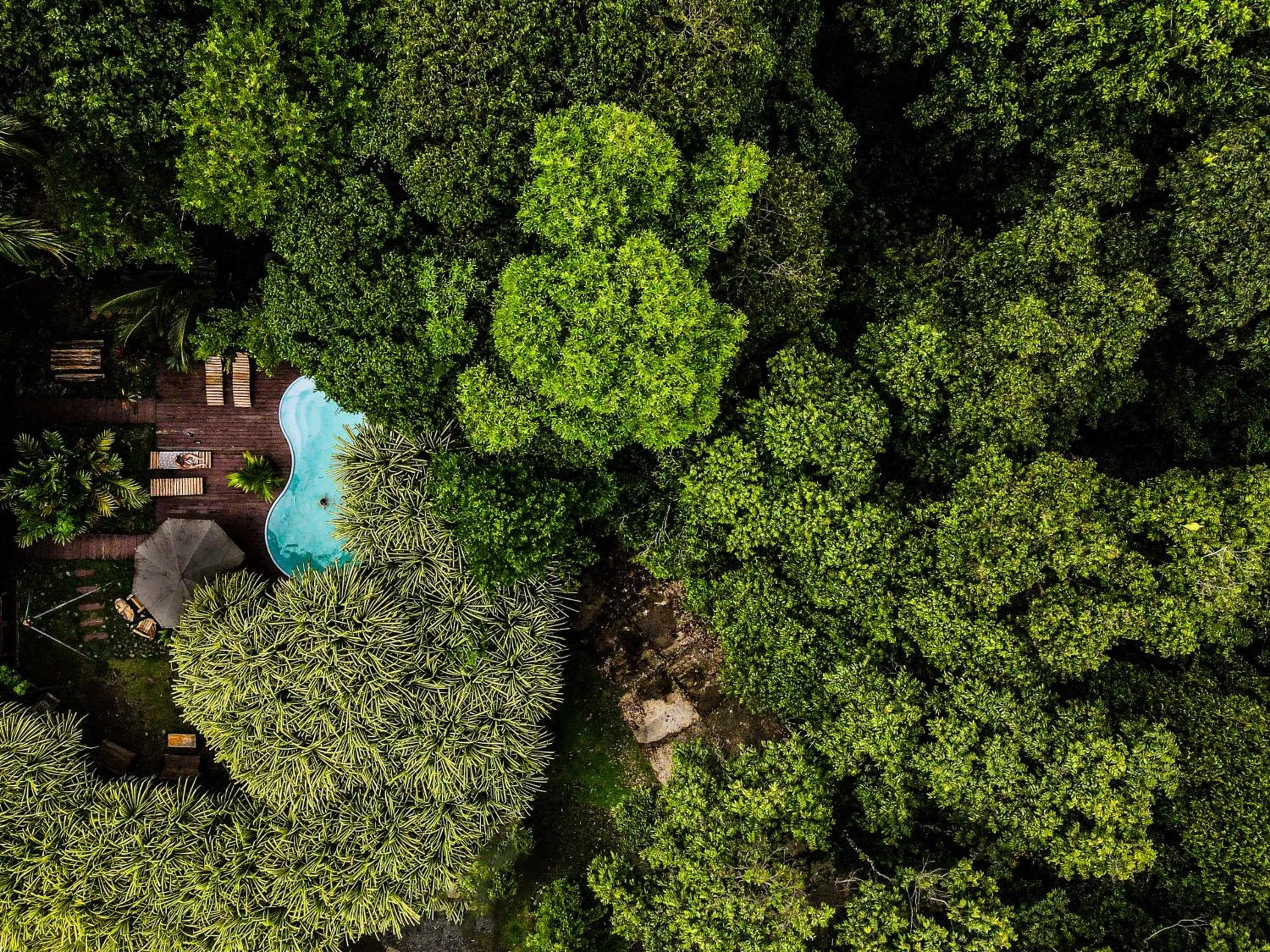 Natural landscape in Selina Red Frog