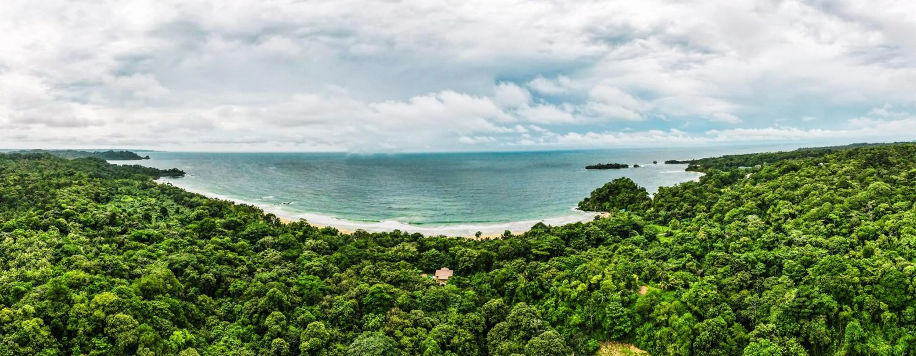 Day in Selina Red Frog