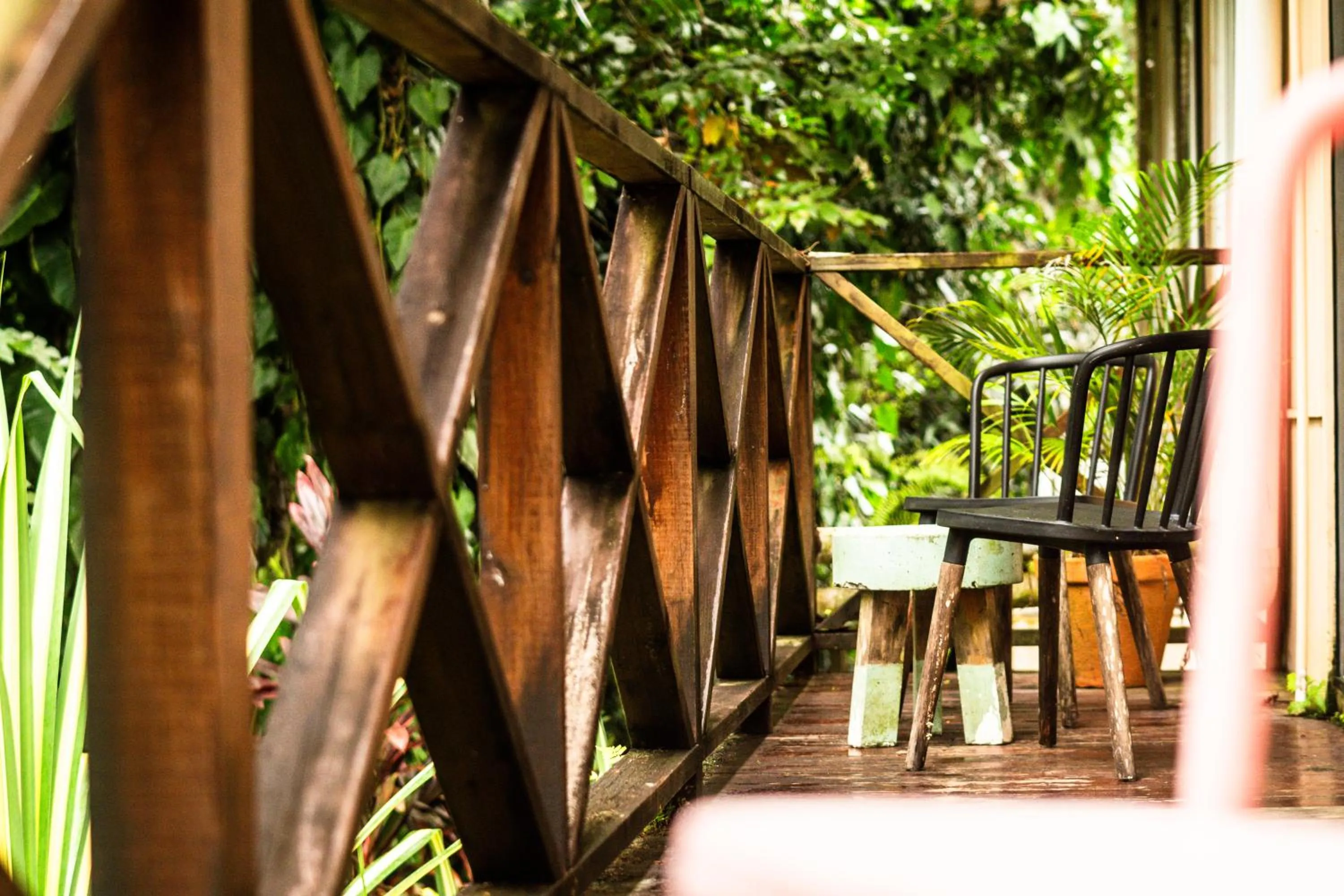 Garden view in Selina Red Frog