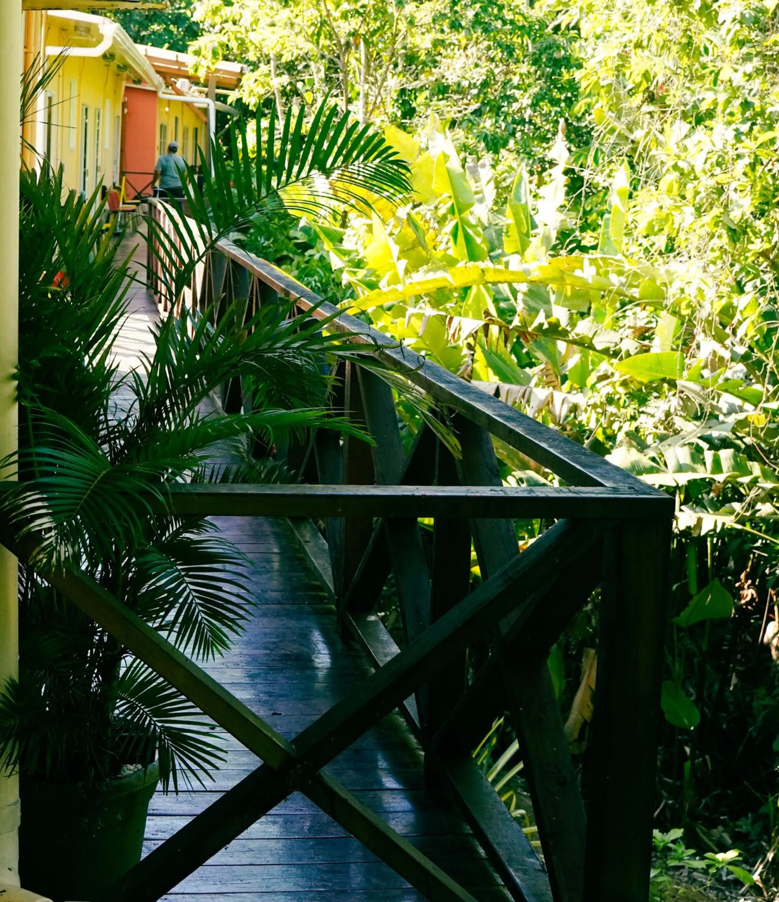 Natural landscape in Selina Red Frog