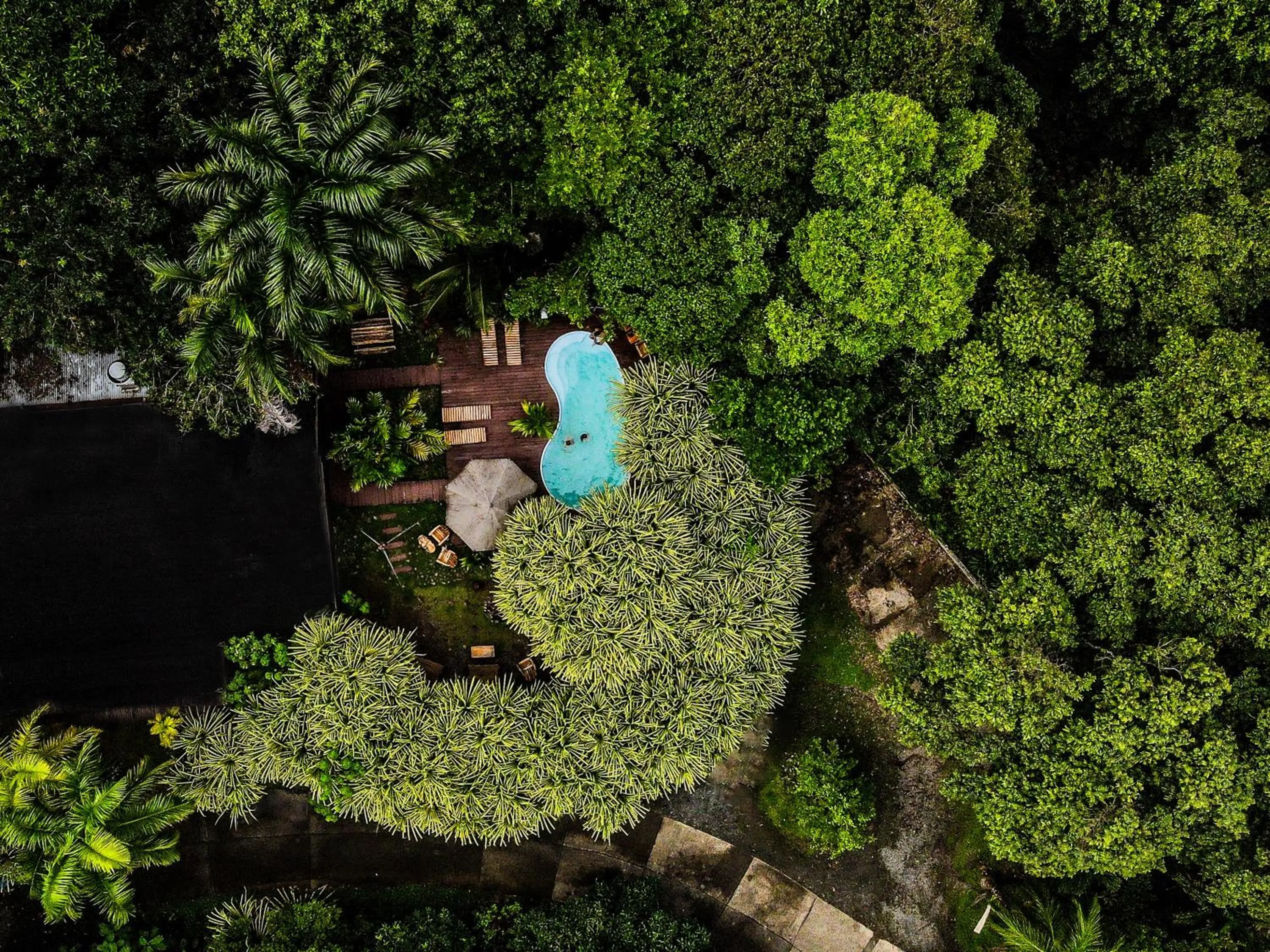 Garden view in Selina Red Frog