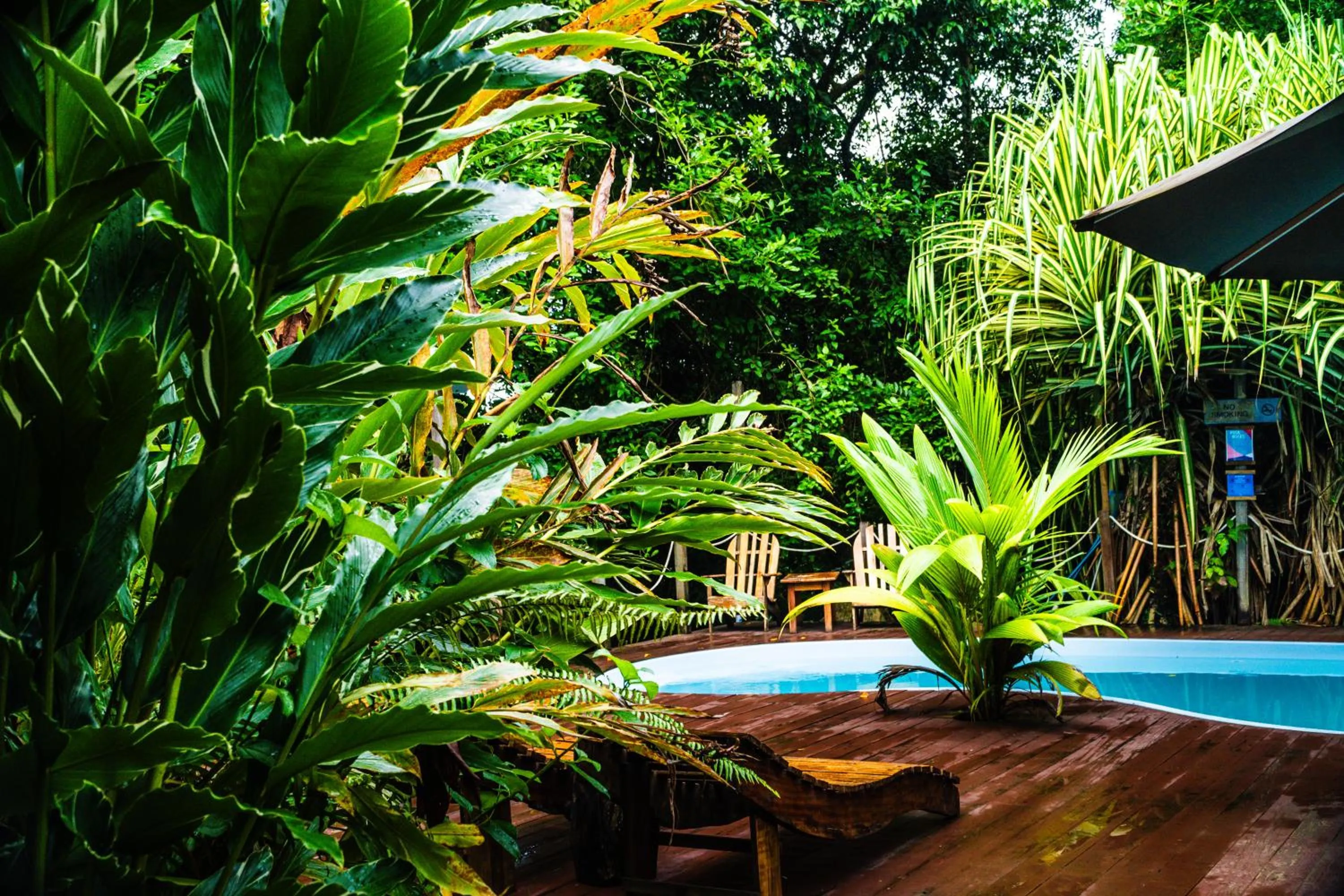 Natural landscape in Selina Red Frog