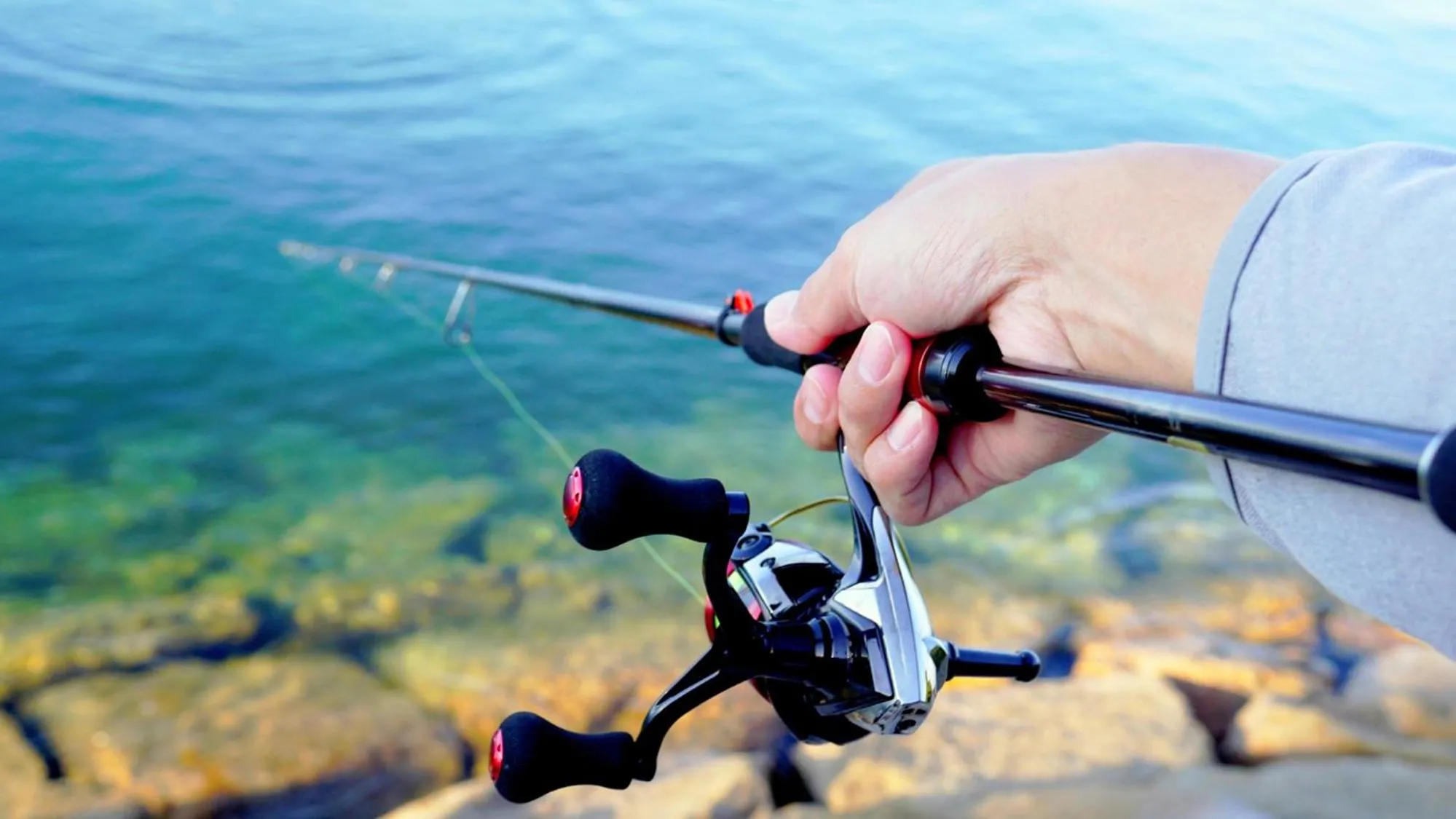 Nearby landmark in Pension Orange Box
