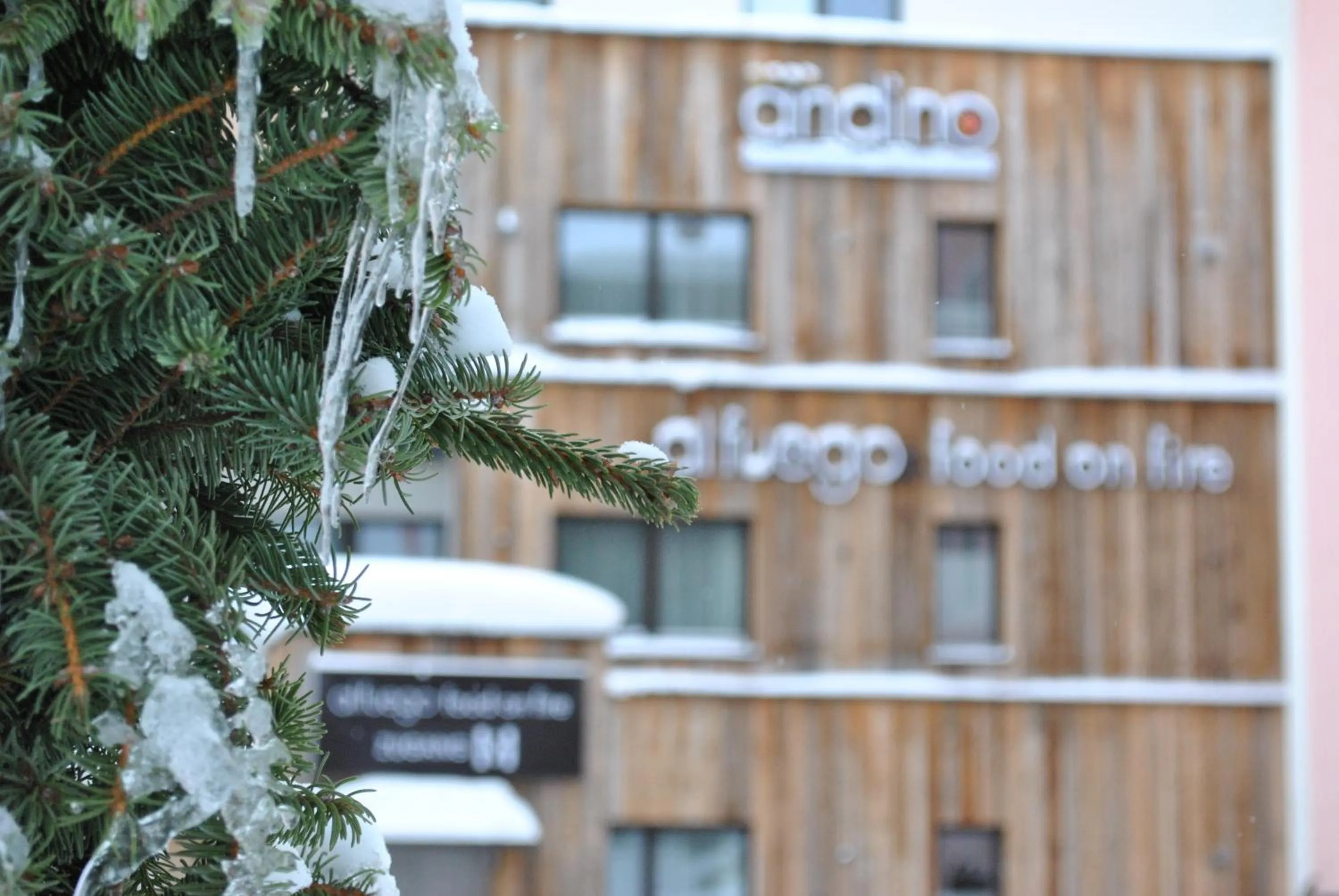 Facade/entrance in Hotel Andino