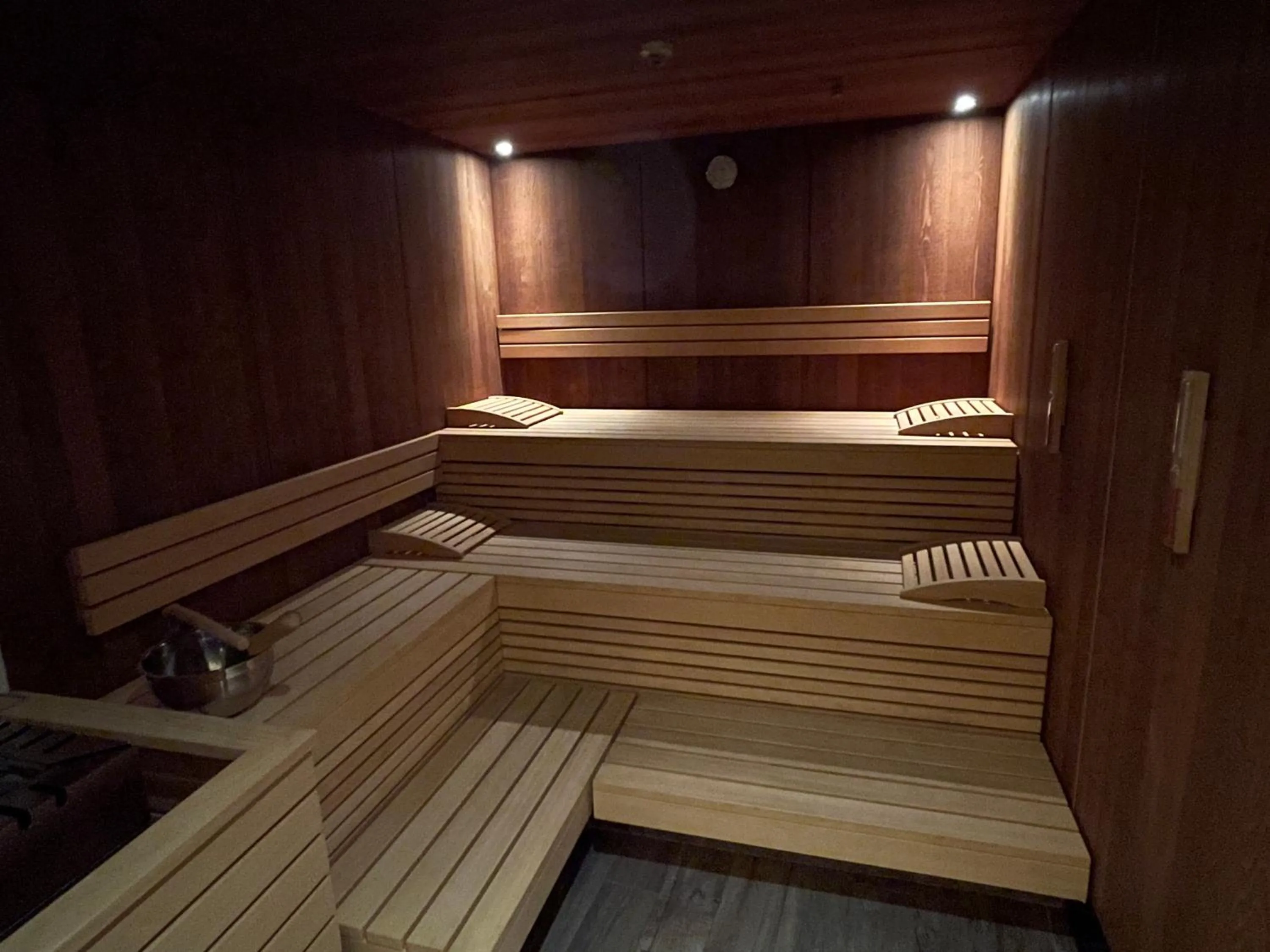 Sauna in Hotel Andino