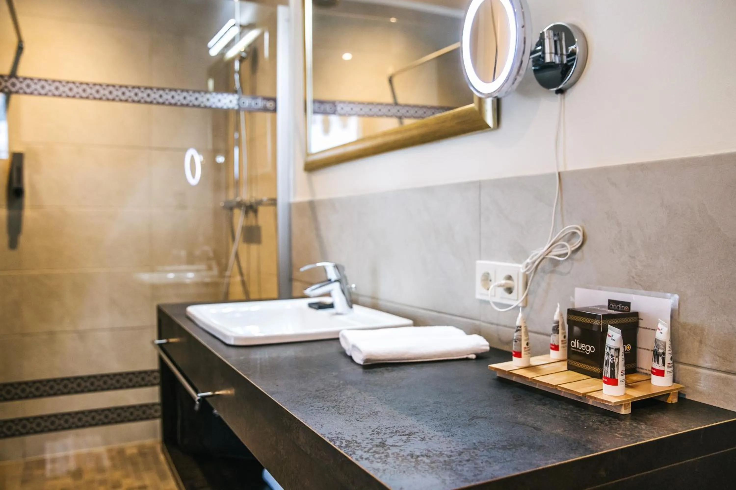 Toilet in Hotel Andino