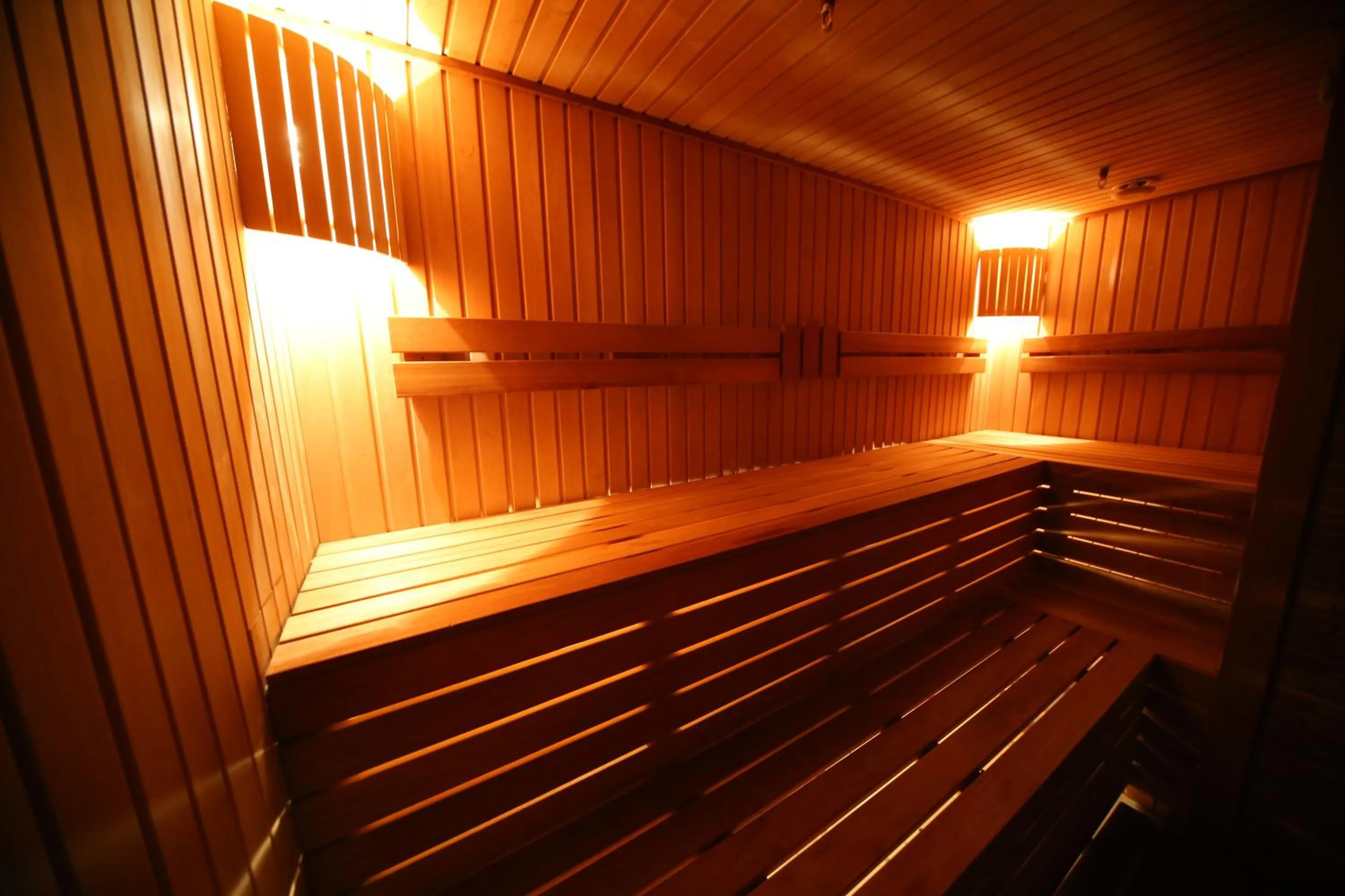 Sauna in Dvin Hotel