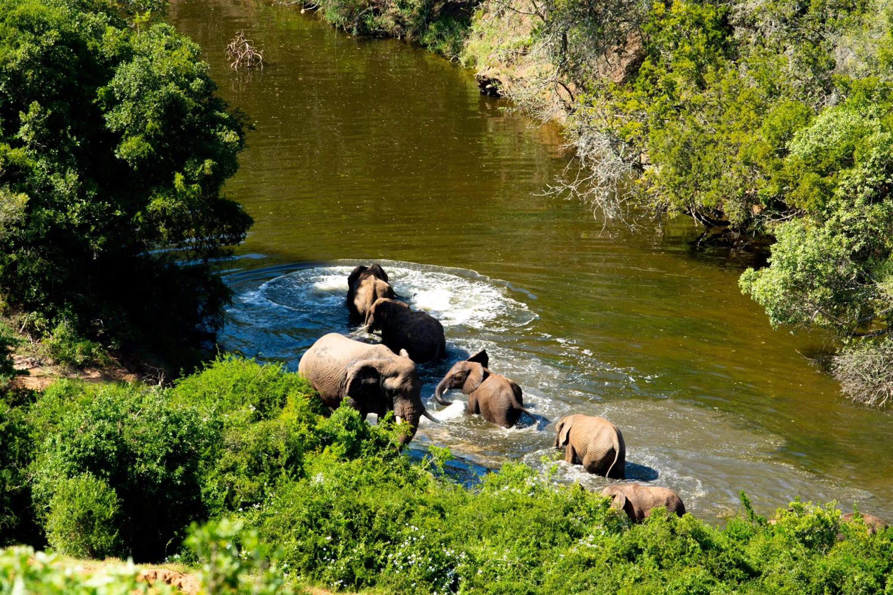 Hopewell Private Game Reserve