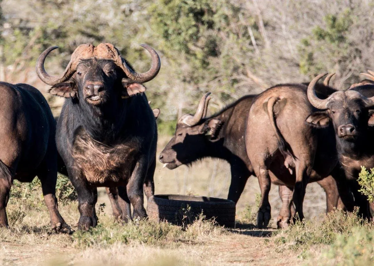 Hopewell Private Game Reserve