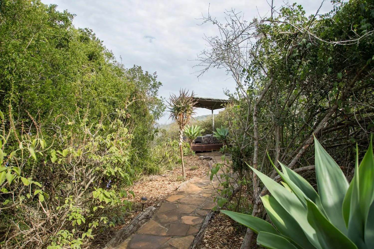 Balcony/Terrace in Hopewell Private Game Reserve