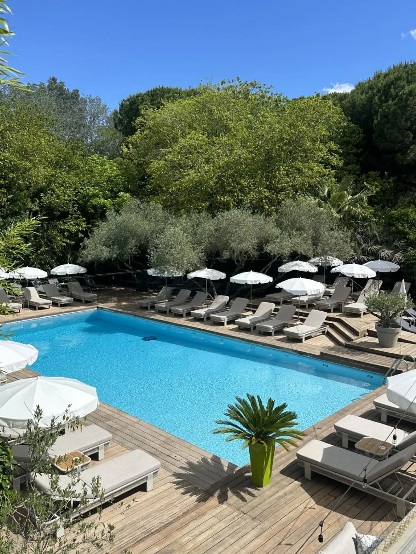 Swimming pool in Le Prose Hôtel