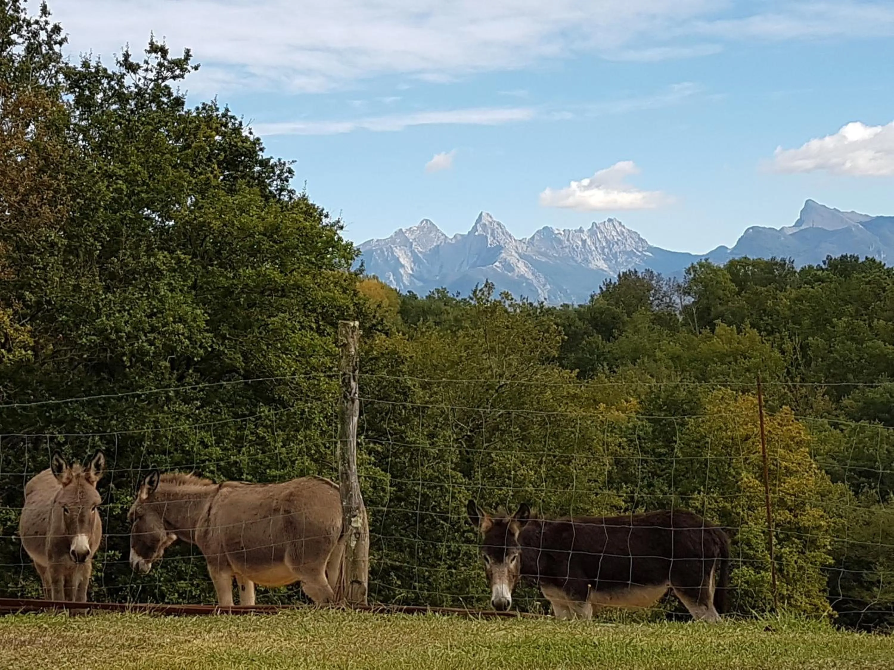 Agriturismo La Selva