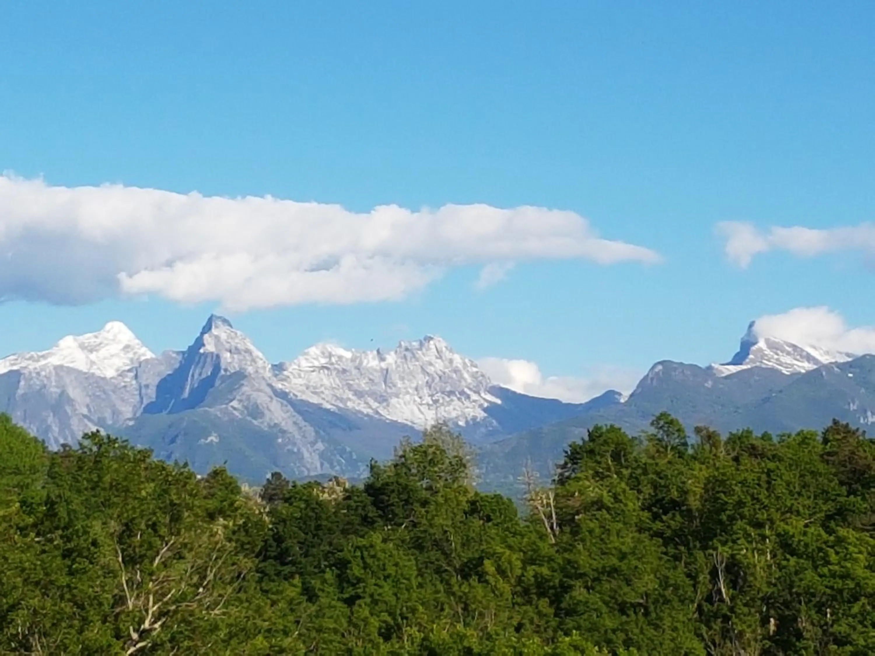 Agriturismo La Selva