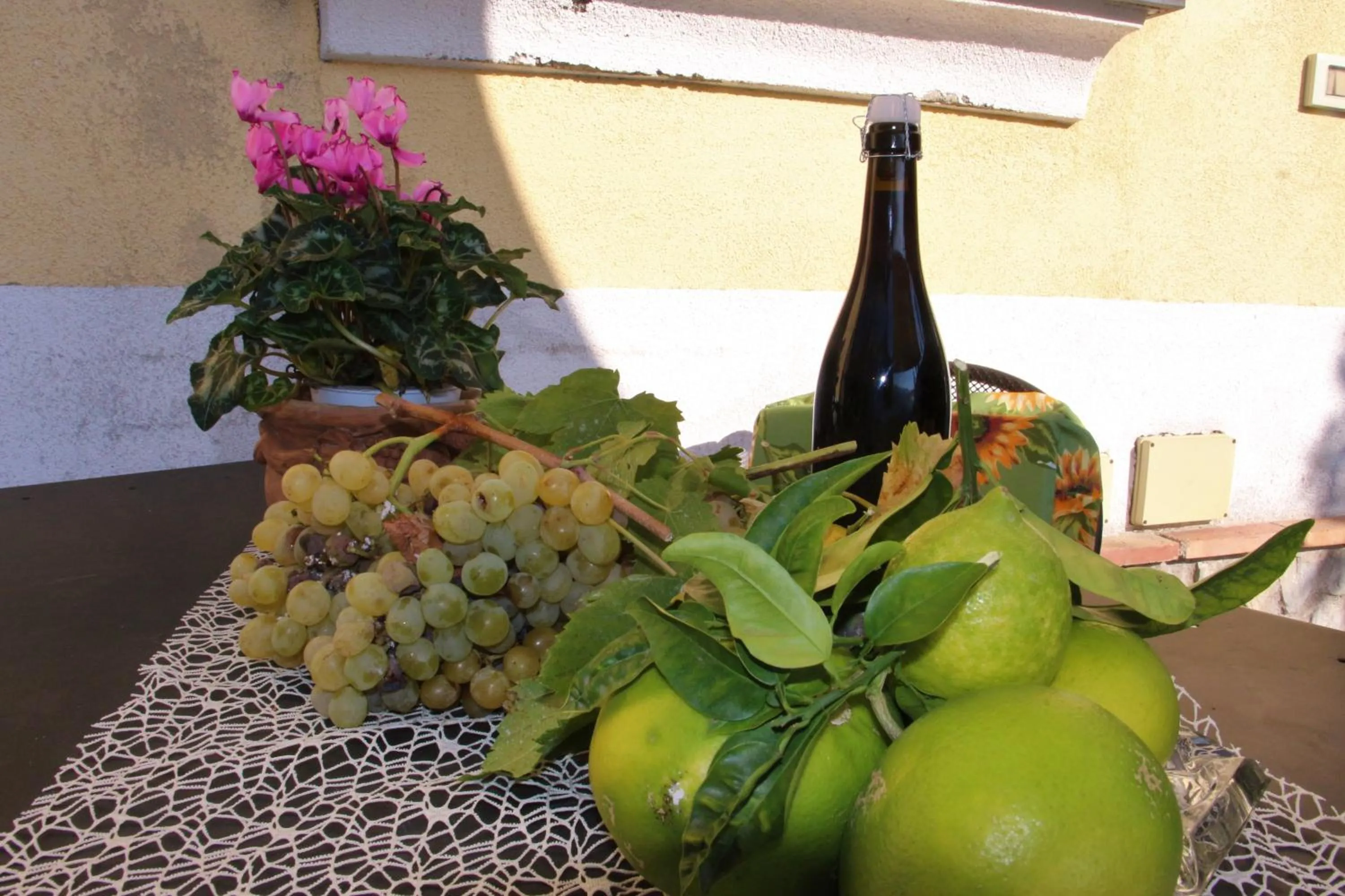 Food and drinks in Casa Ortensia