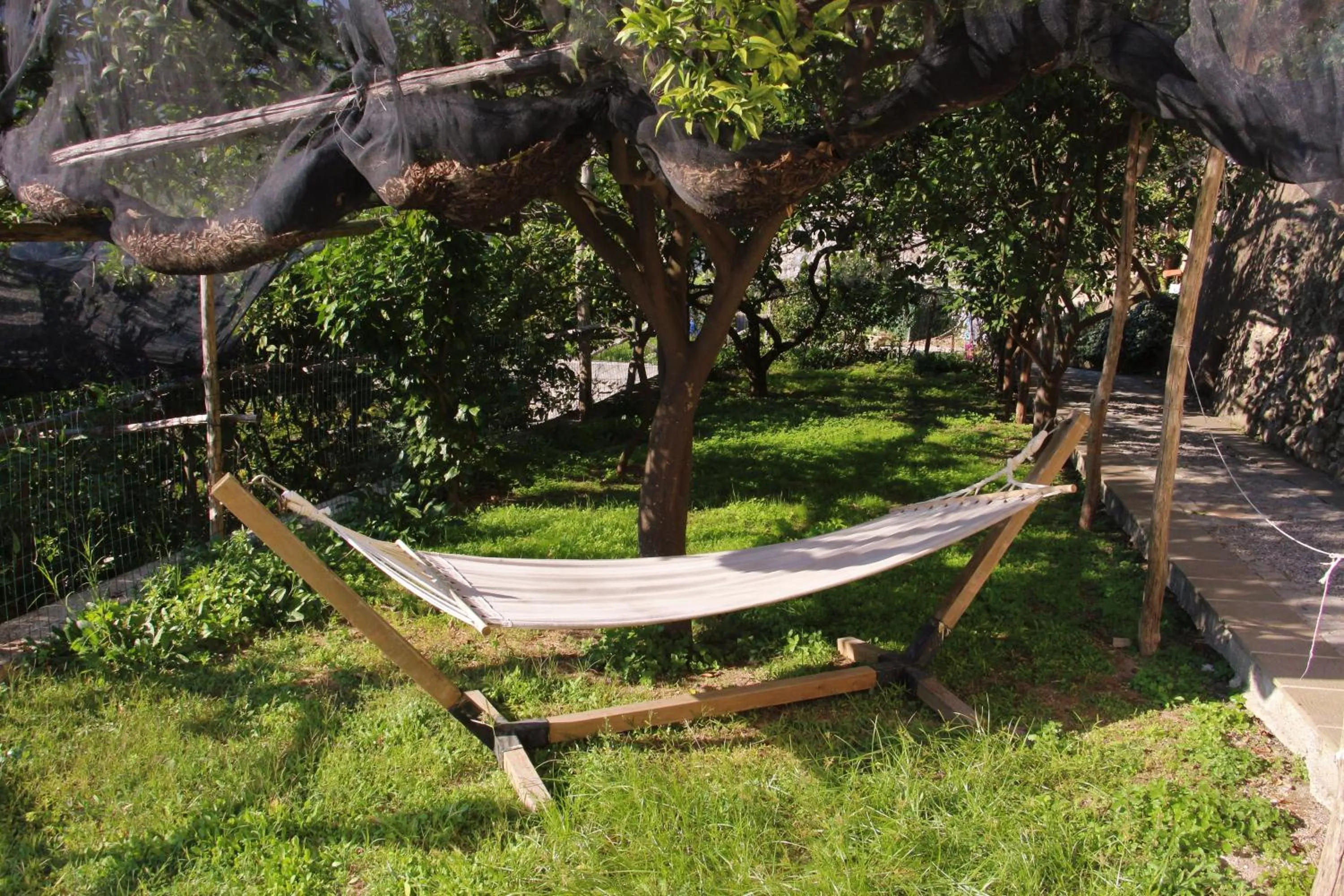 Natural landscape in Casa Ortensia