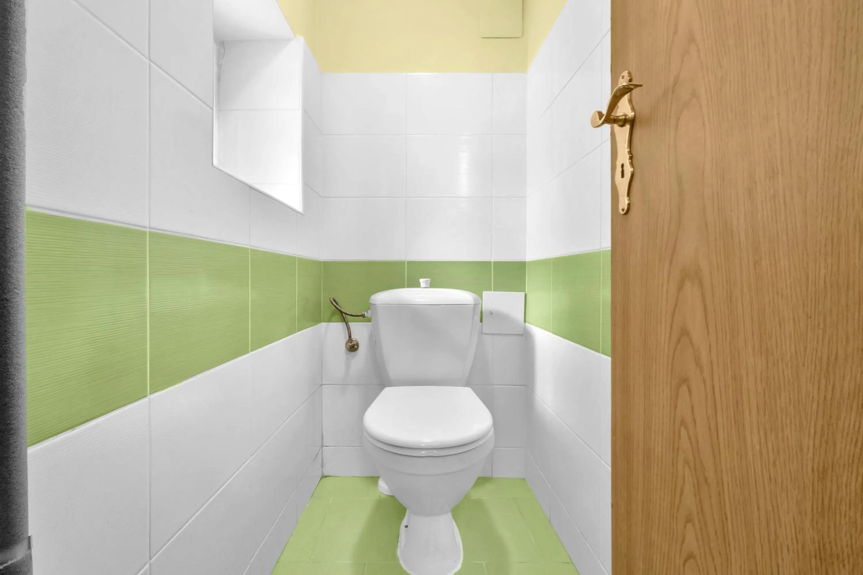 Toilet in Ubytování nad Bisonem