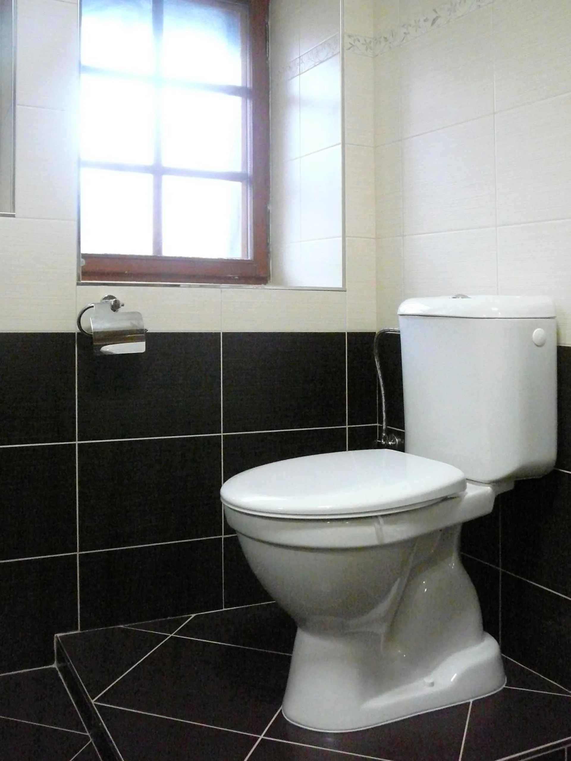 Toilet in Ubytování nad Bisonem
