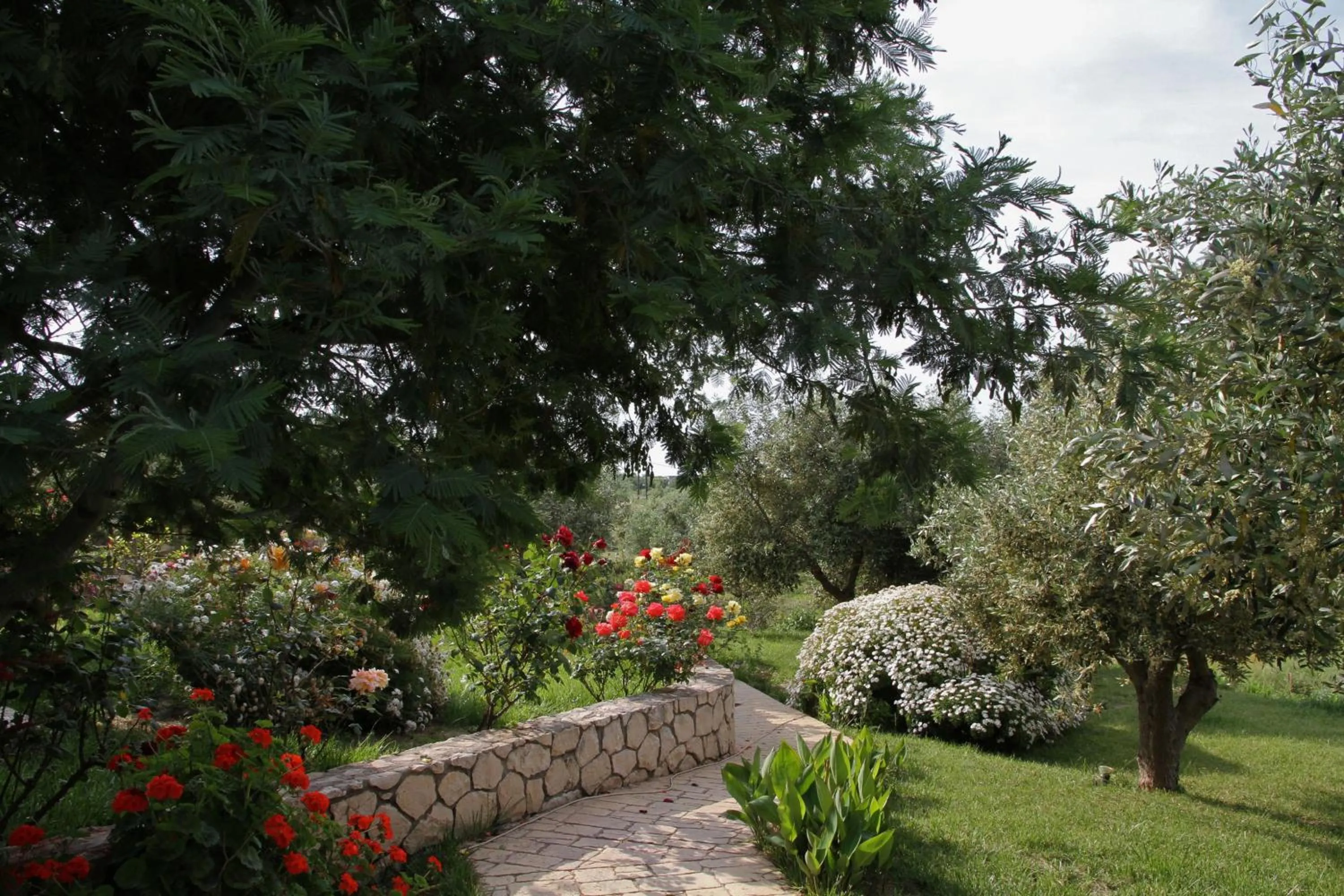 Garden in Volidiera Guesthouse