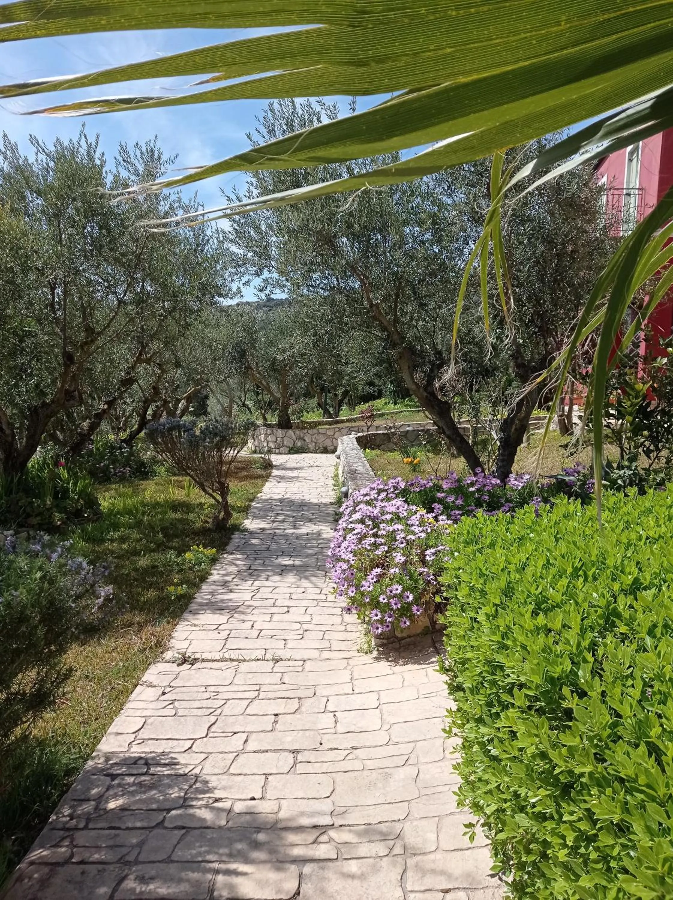 Garden in Volidiera Guesthouse
