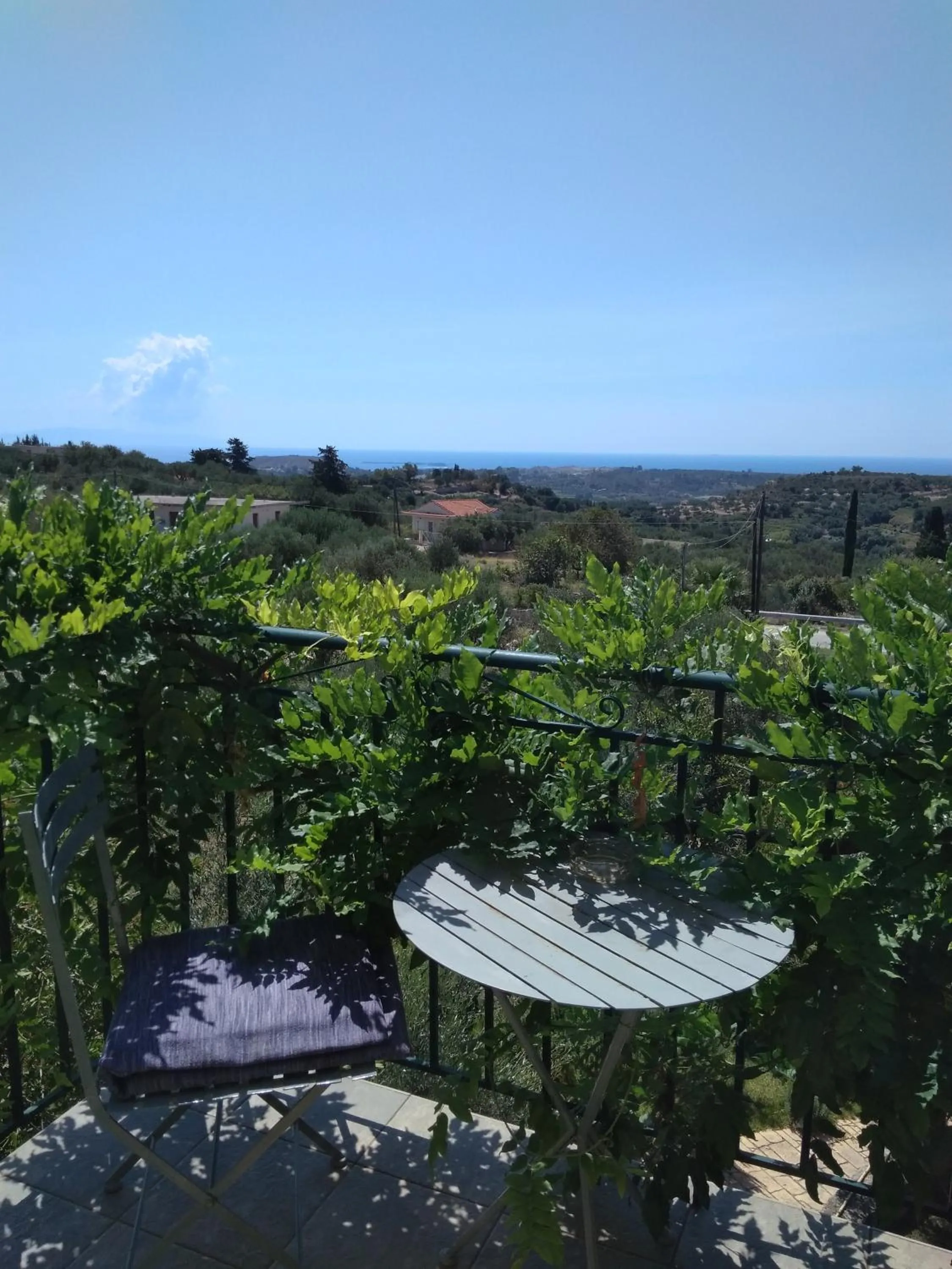 Garden view in Volidiera Guesthouse