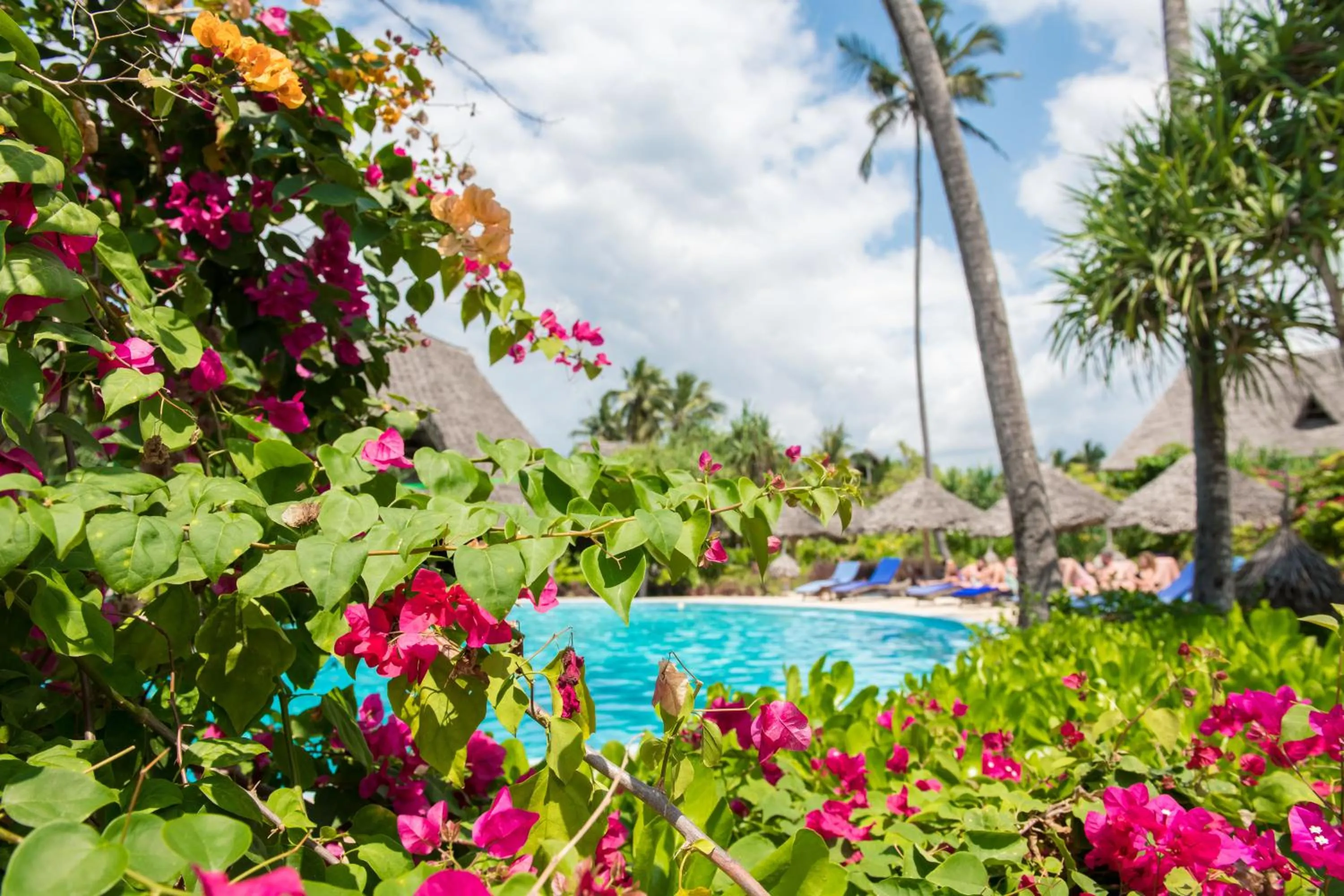 Pool view in Zanzibar Queen Hotel