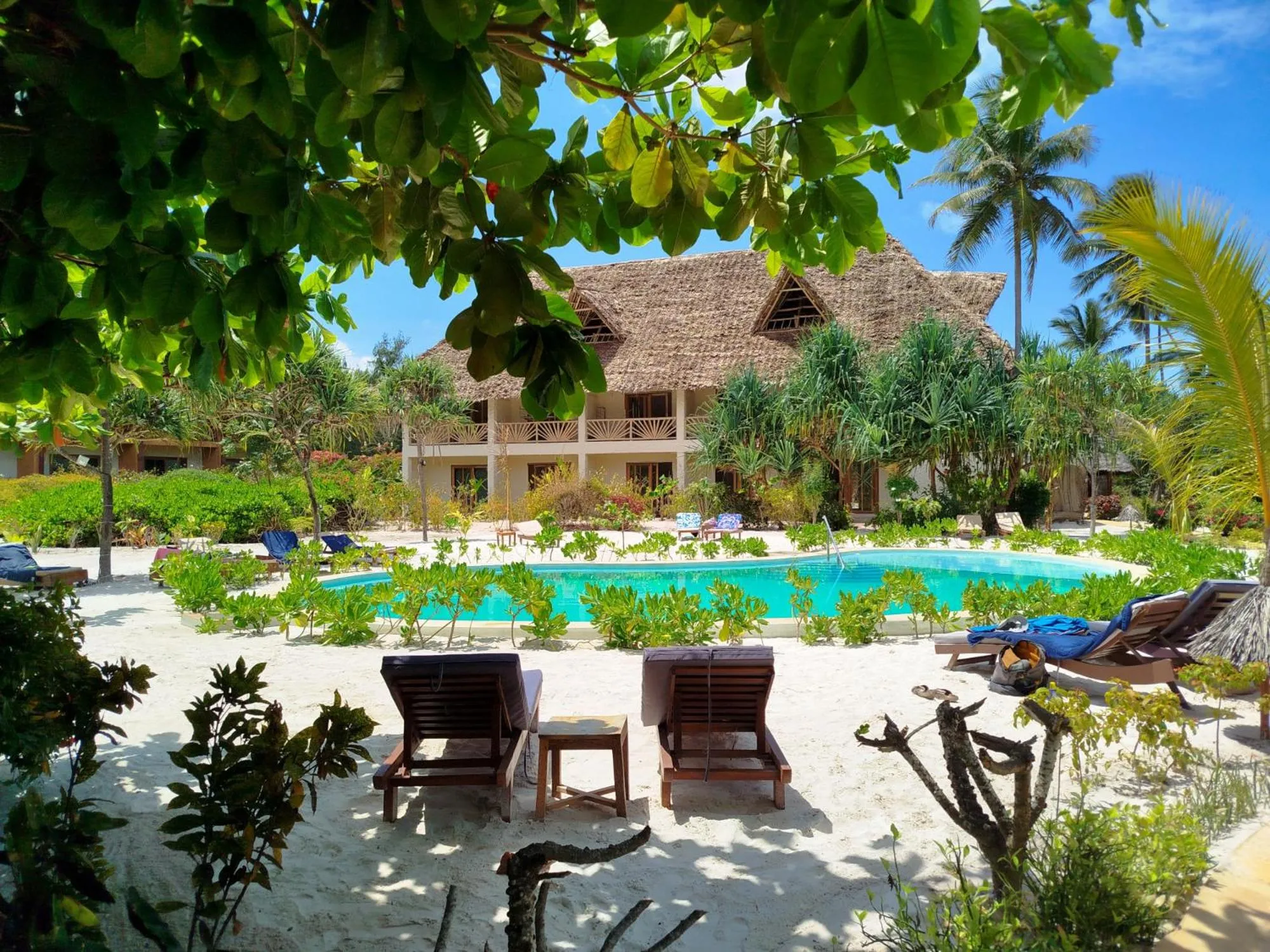 Swimming pool in Zanzibar Queen Hotel