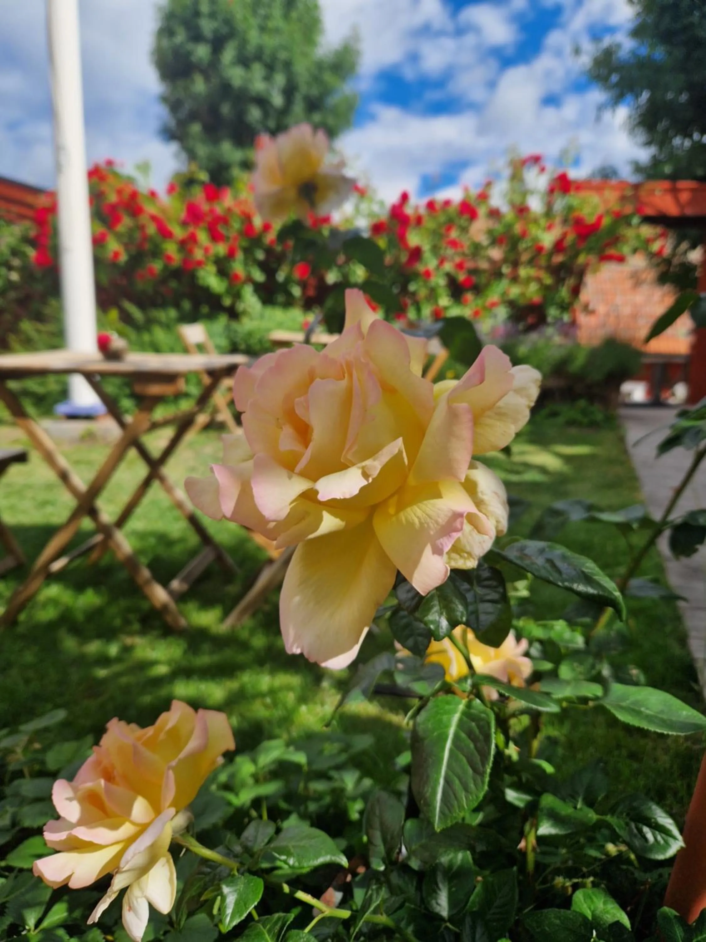 Property building in Gårdshotell Klockargården Öregrund
