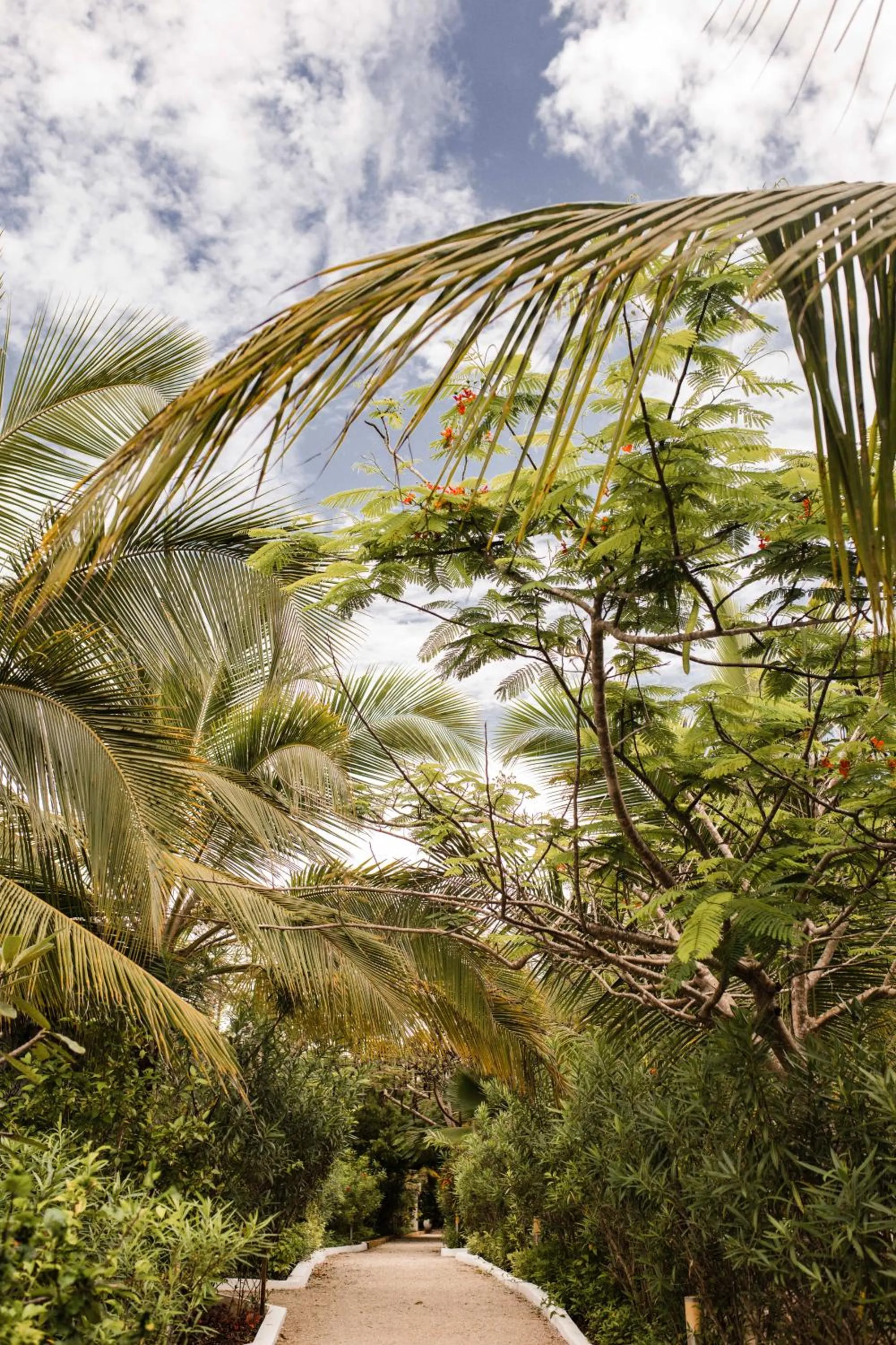 White Paradise Zanzibar