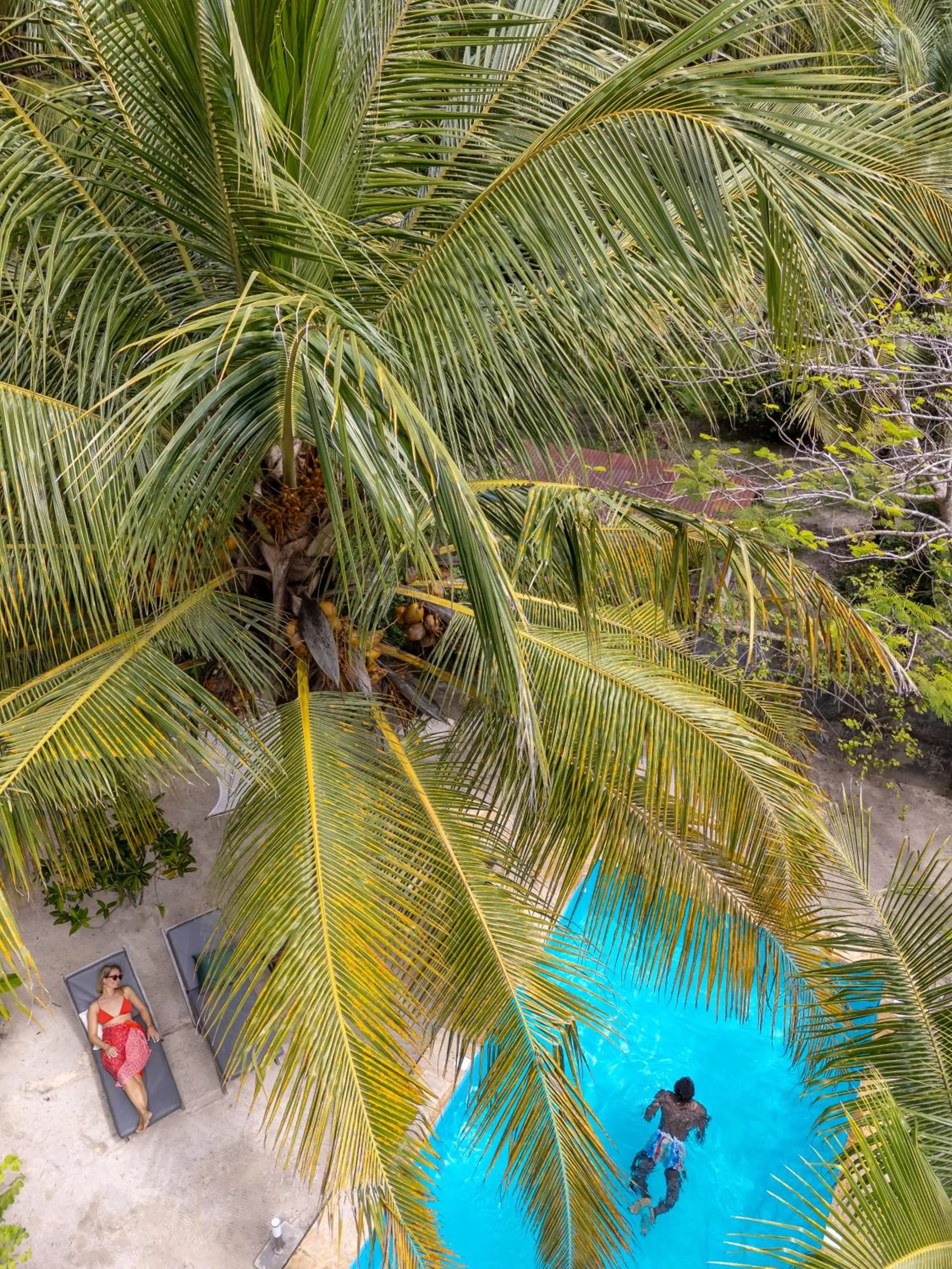 White Paradise Zanzibar