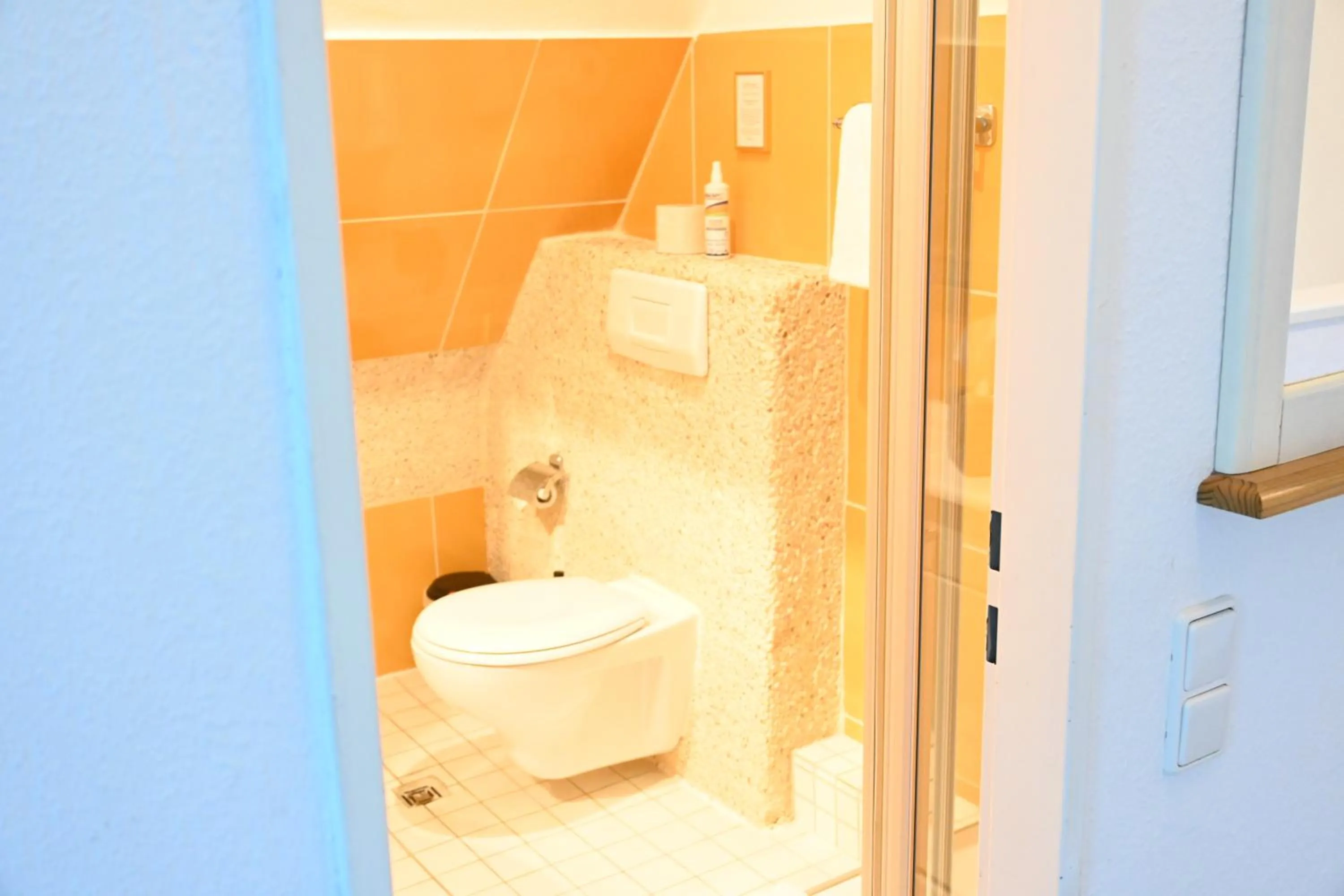 Landsitzhotel und Seminarium Peterhof