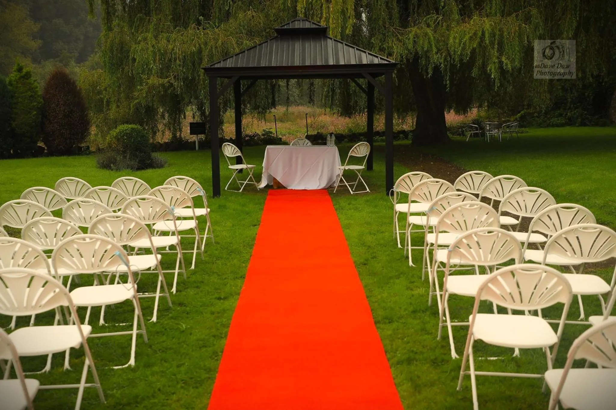 Day in The Paddocks Hotel