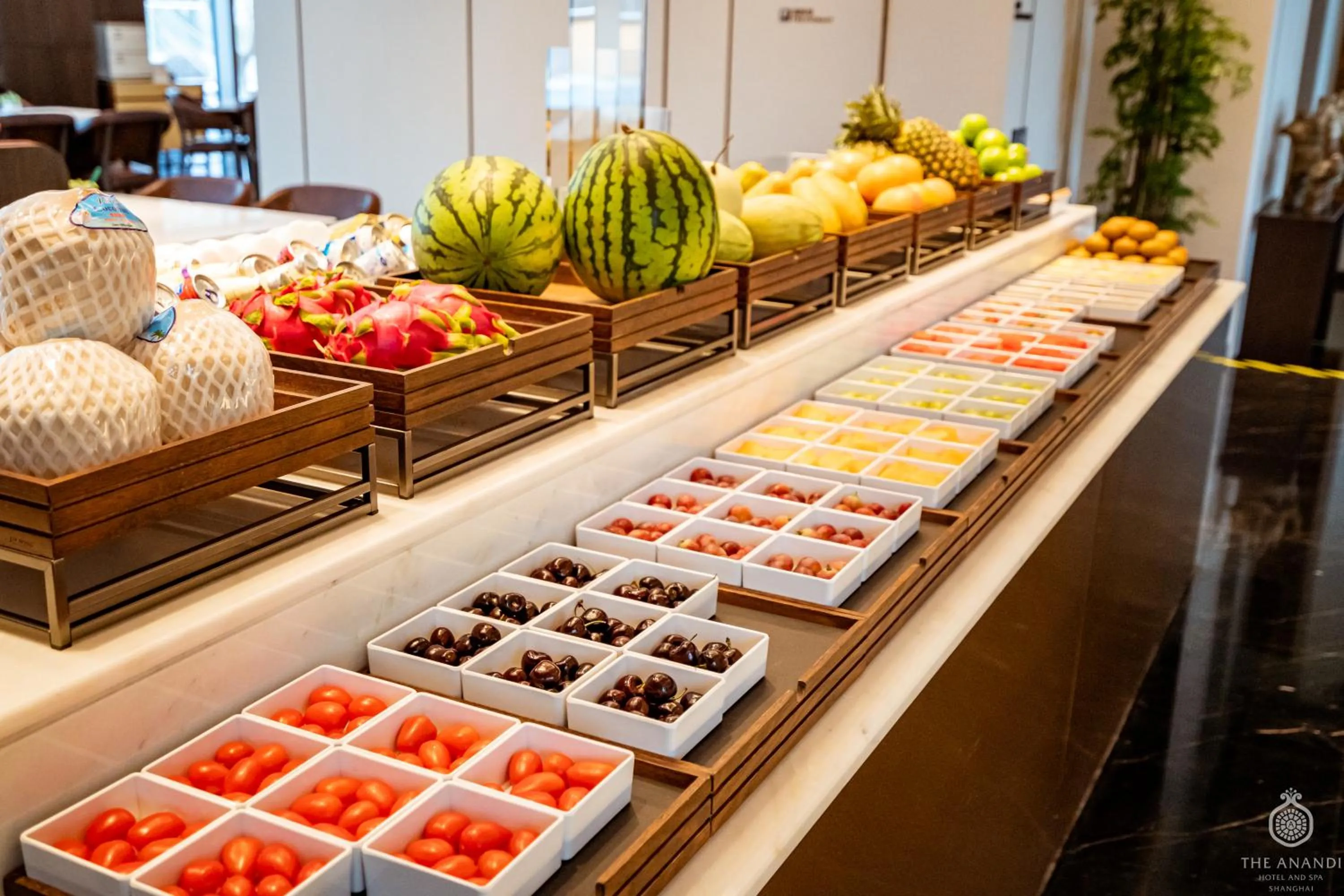 The Anandi Hotel and SPA - Luxury Healing Hotel for Wellbeing