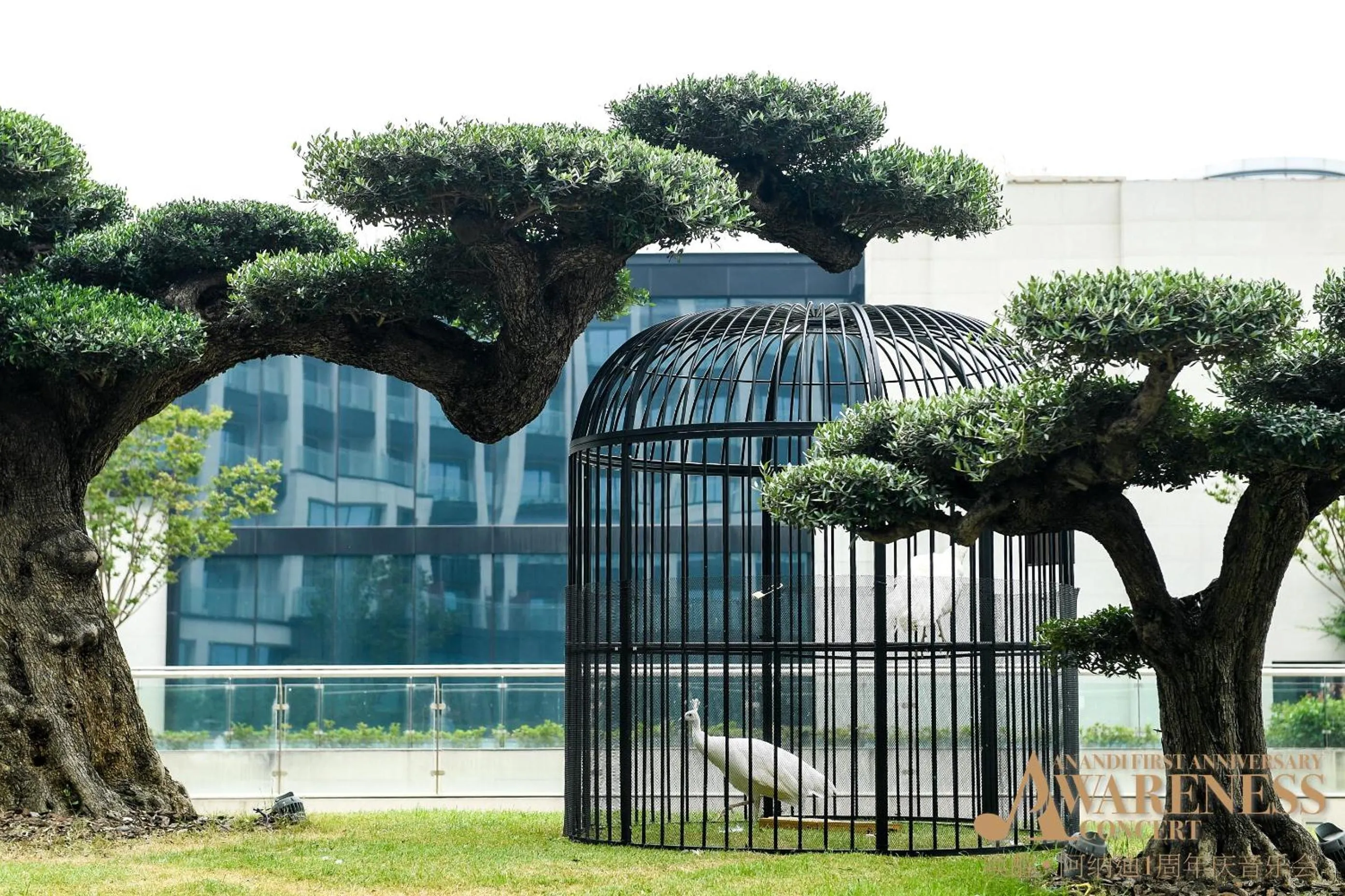 The Anandi Hotel and SPA - Luxury Healing Hotel for Wellbeing