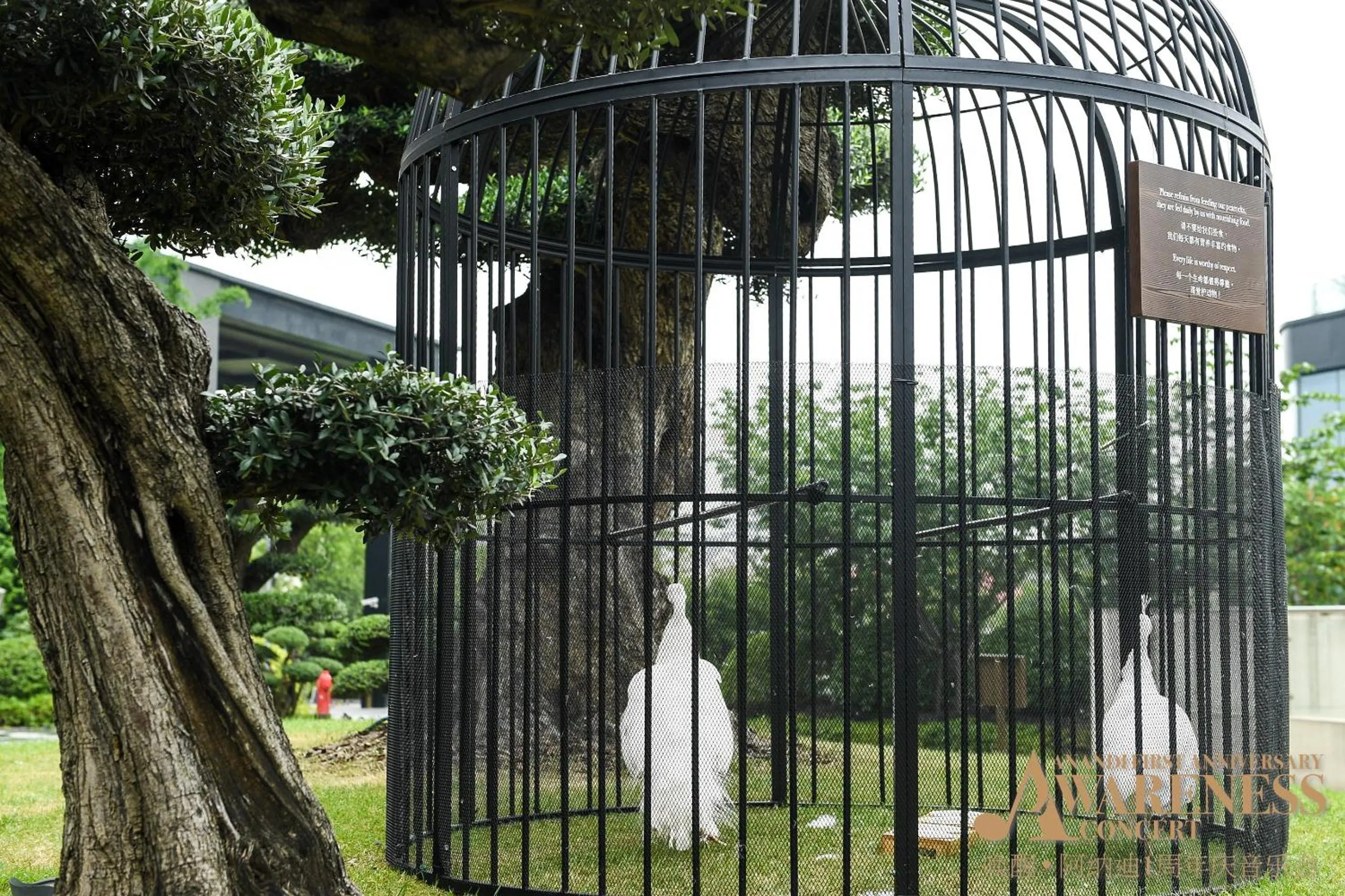 The Anandi Hotel and SPA - Luxury Healing Hotel for Wellbeing