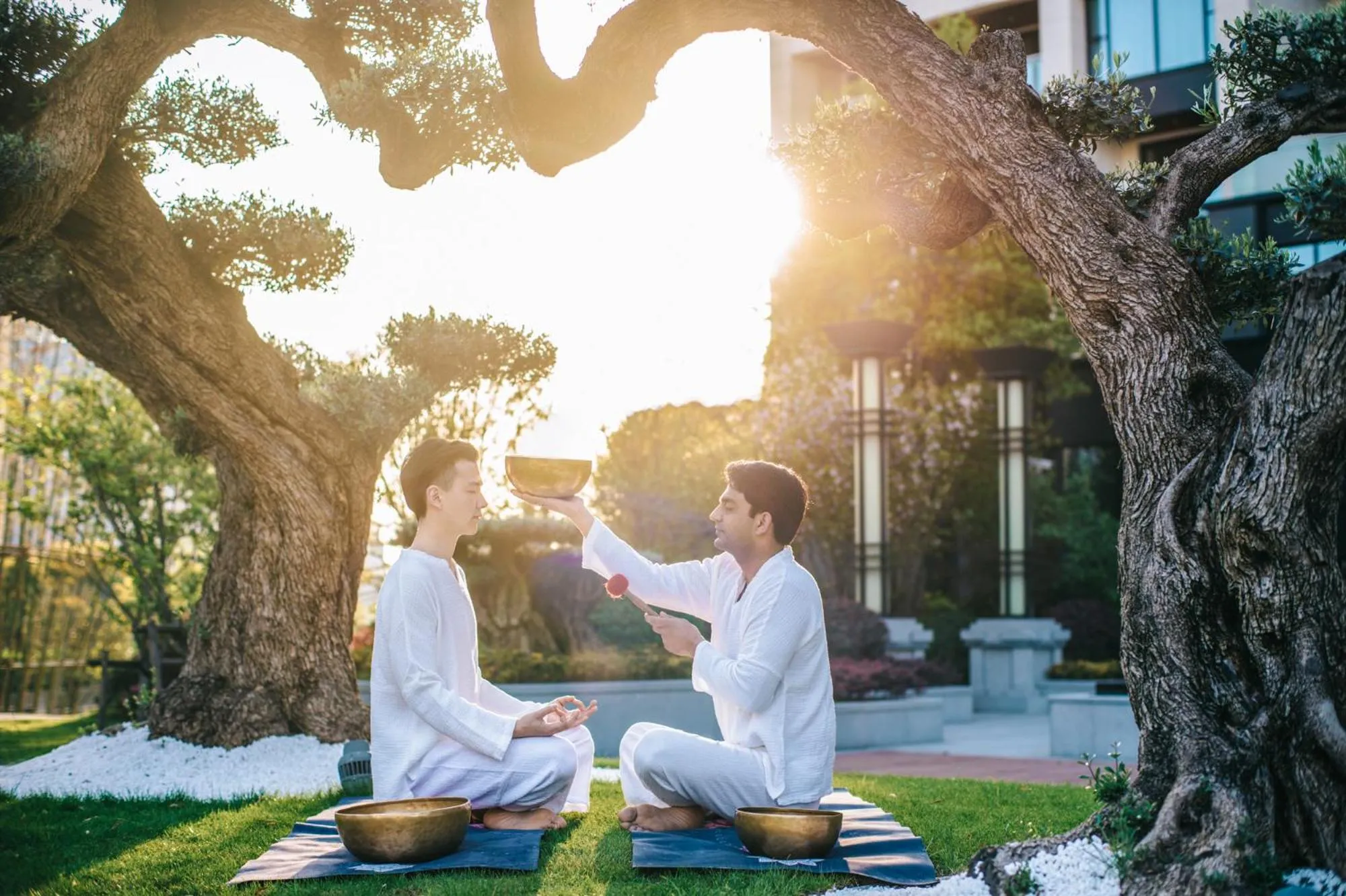 The Anandi Hotel and SPA - Luxury Healing Hotel for Wellbeing