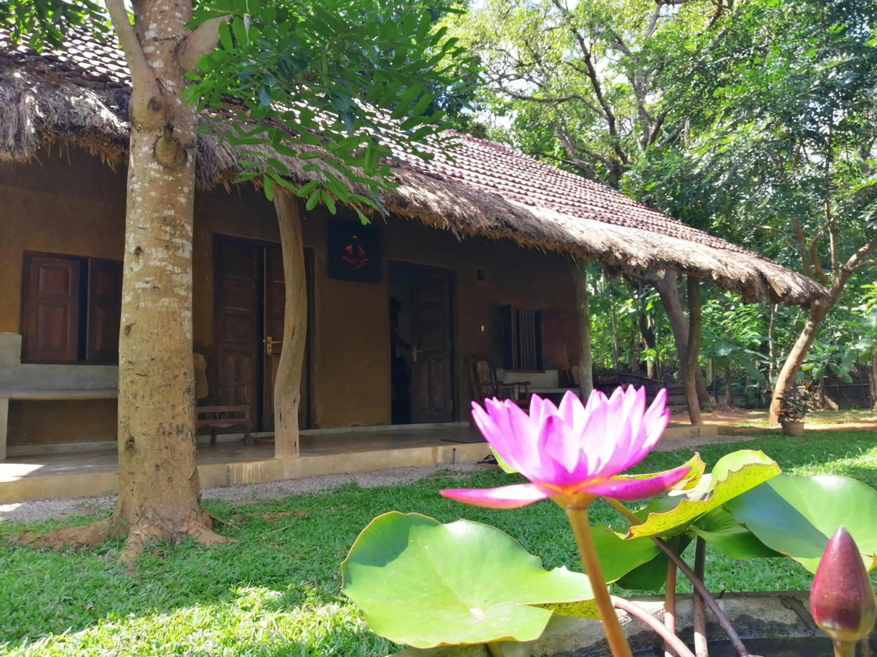 Property building in Ama Villa