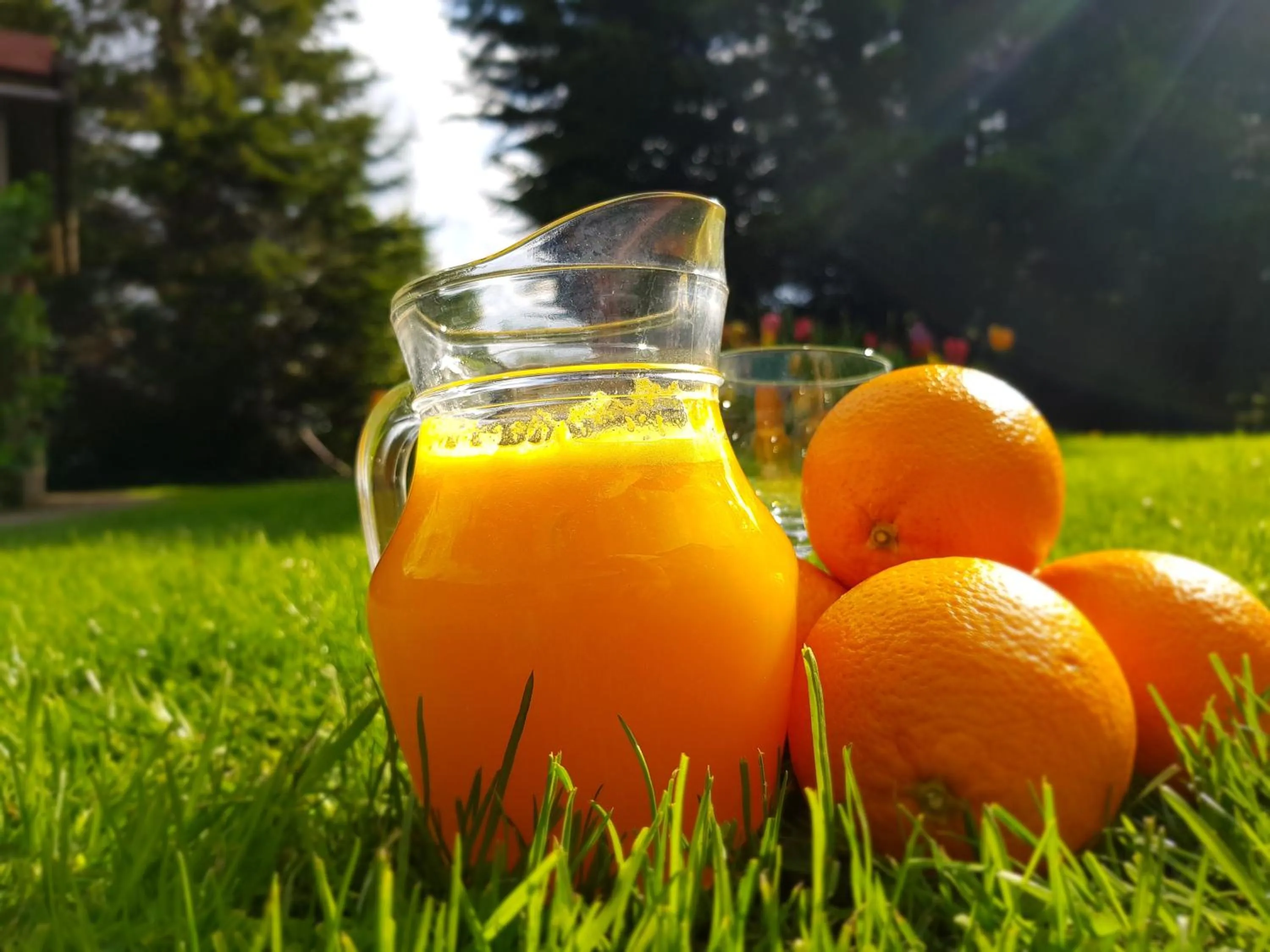 Food and drinks in Hotel De Stokerij