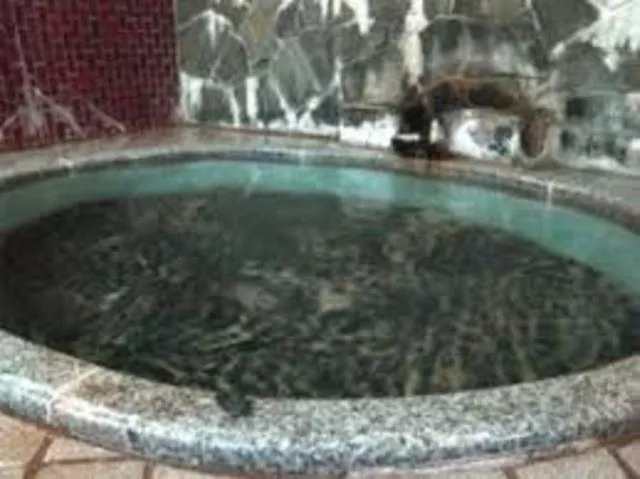 Hot Spring Bath in Motoyu Arimaya