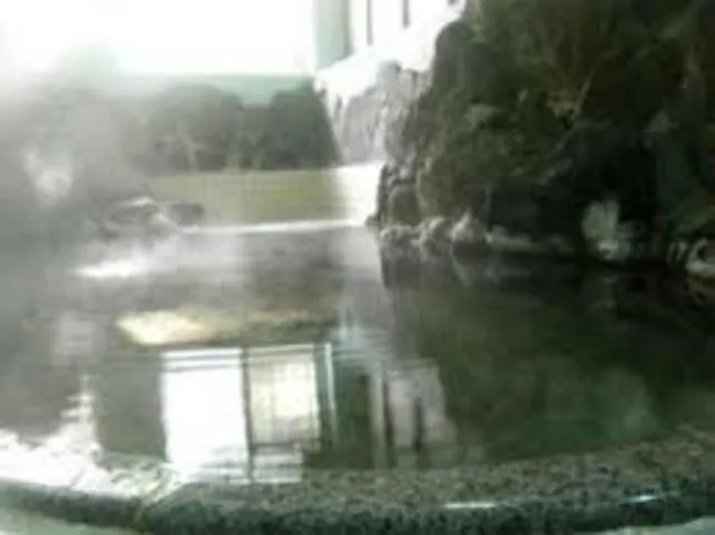 Hot Spring Bath in Motoyu Arimaya