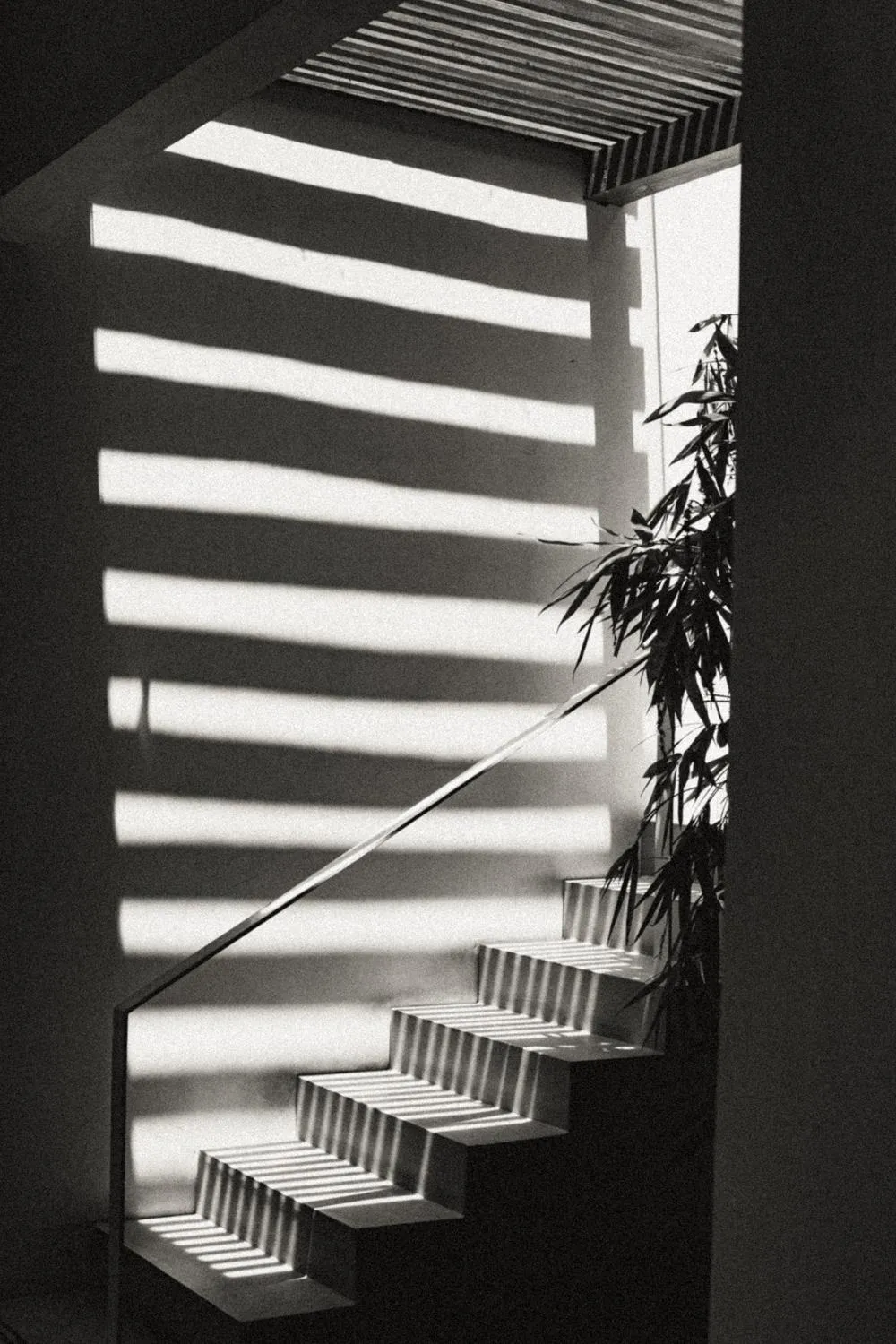 Decorative detail in The Slow