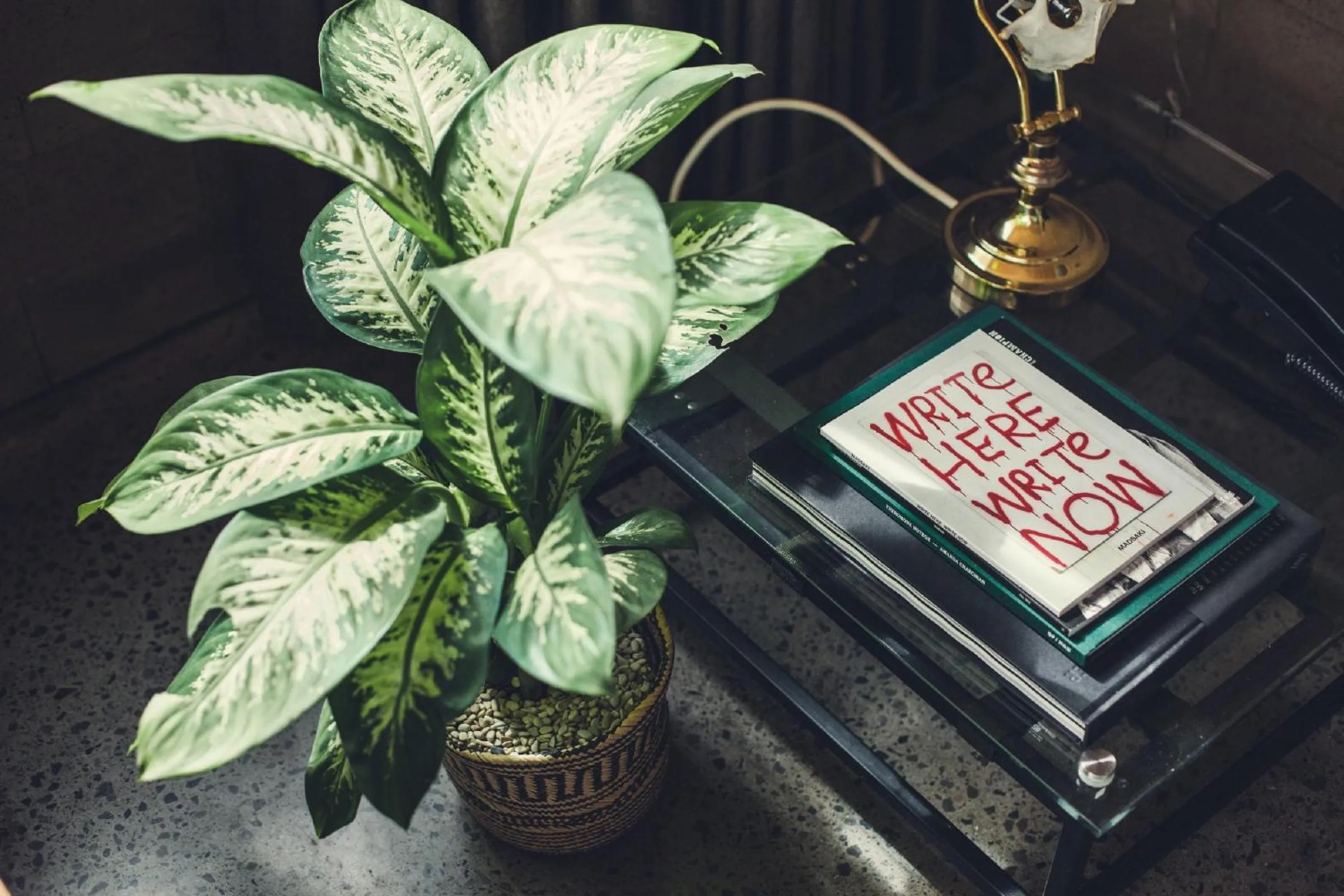 Decorative detail in The Slow