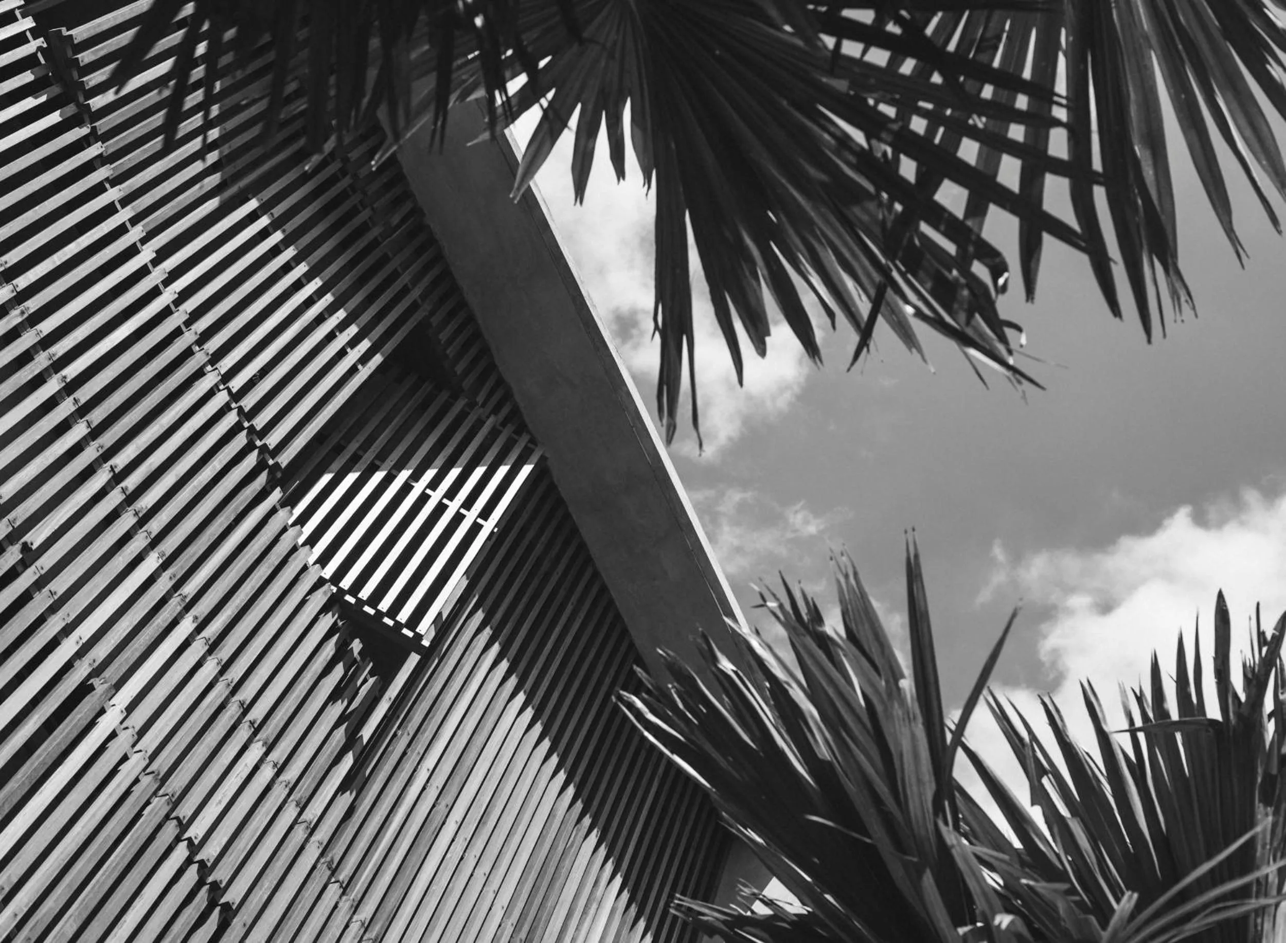 Decorative detail in The Slow